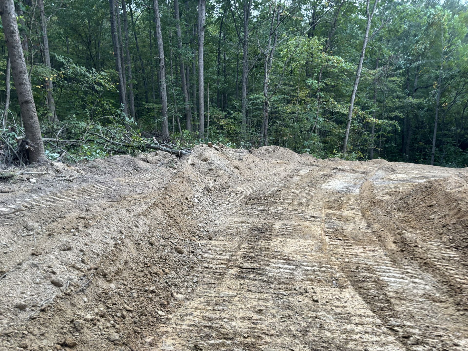 Graded dirt road under construction beside a wooded forest area