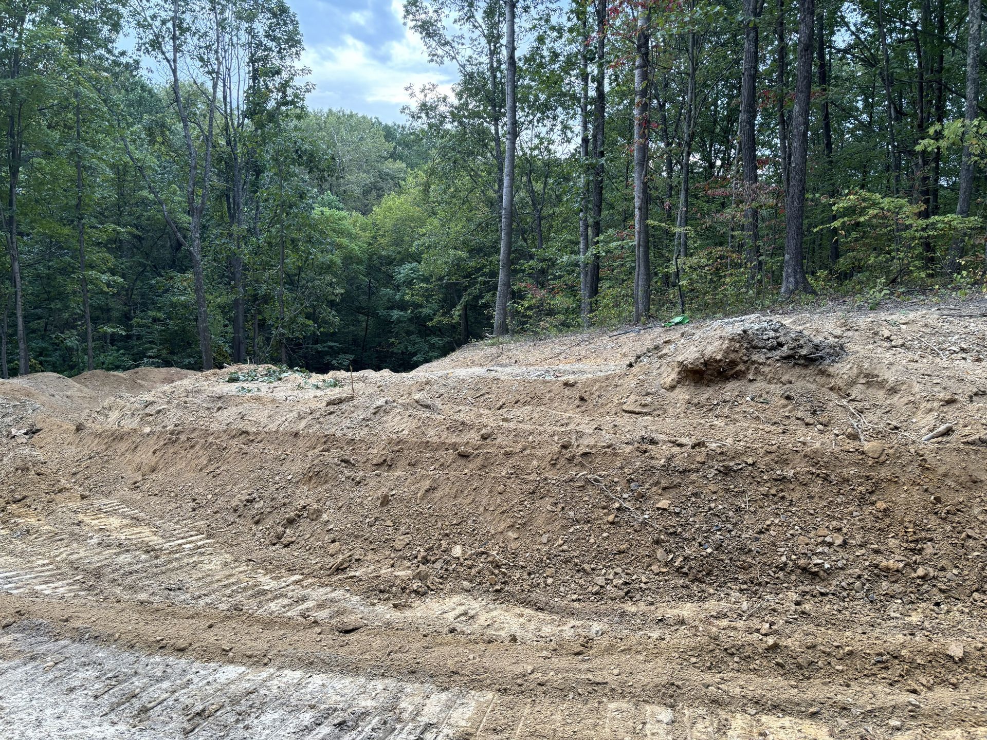 Dirt road cut through wooded area with tall trees and a cloudy sky