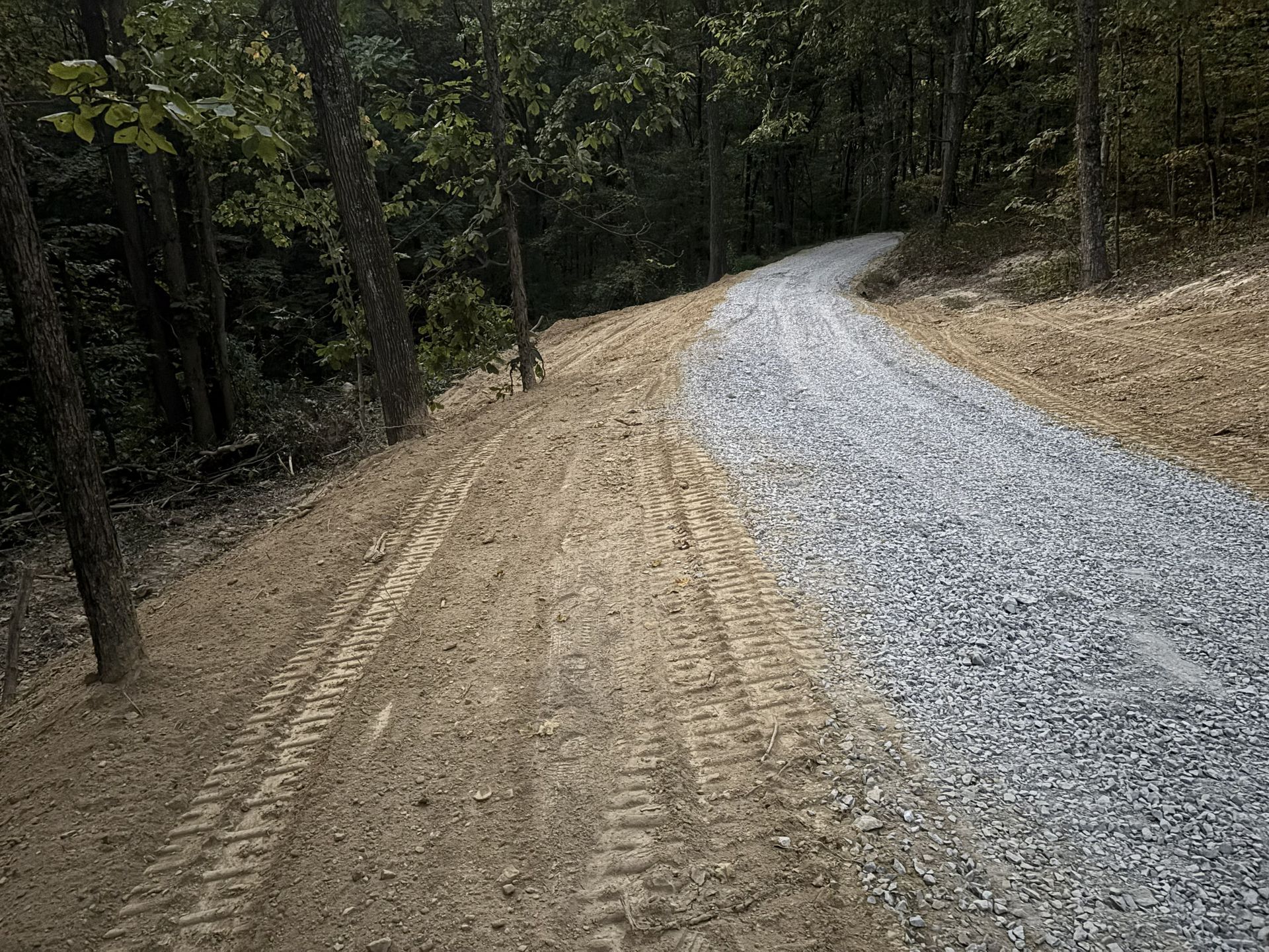 Gravel road curving through a wooded forest, with dirt shoulder and trees on both sides