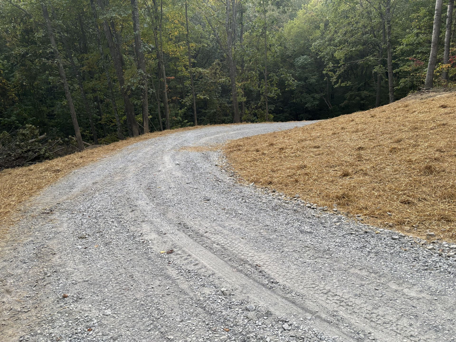 Gravel road curving through a wooded area beside a leaf-covered bank