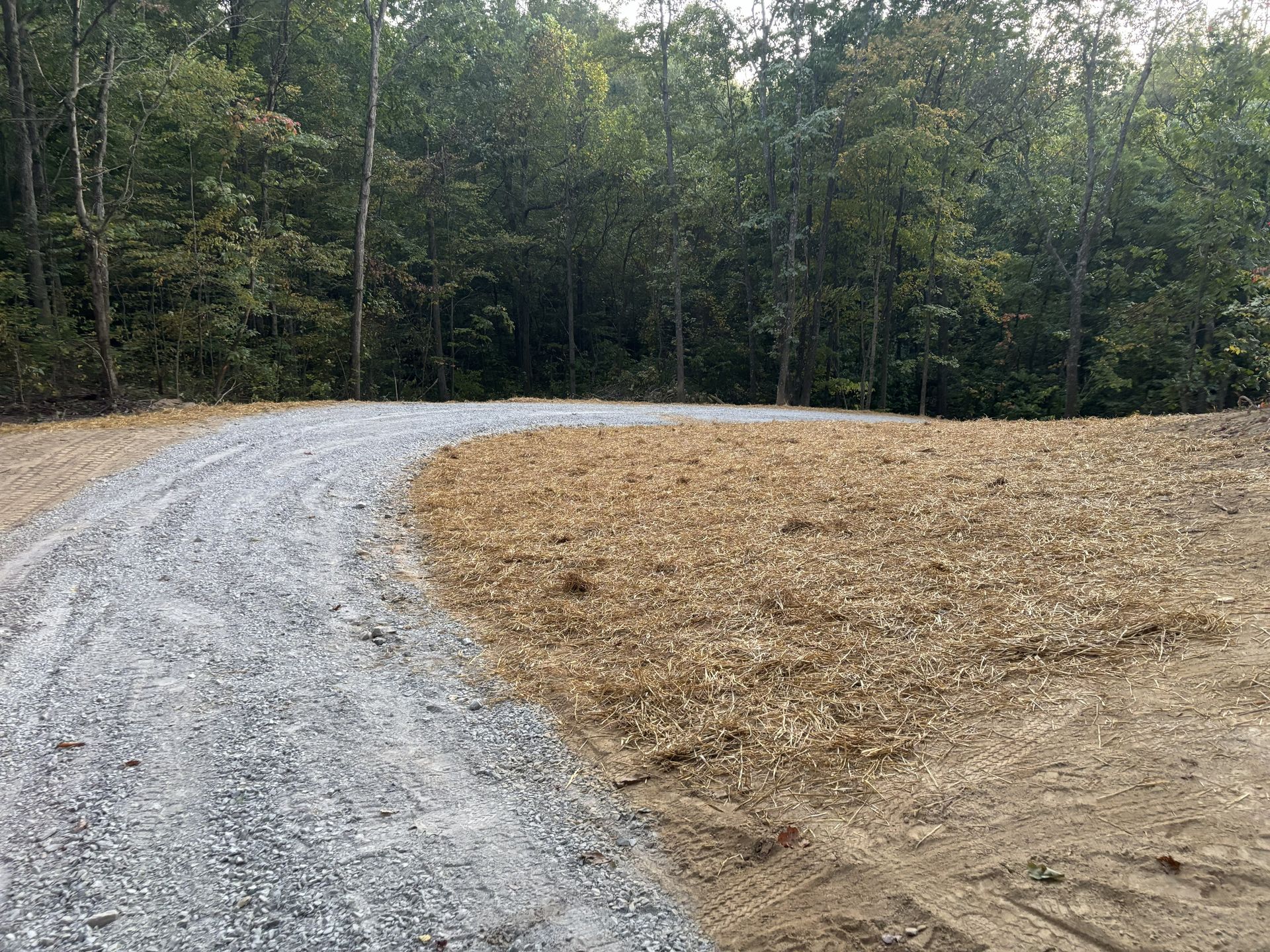 Curved gravel road beside a cleared dirt area, bordered by dense forest.