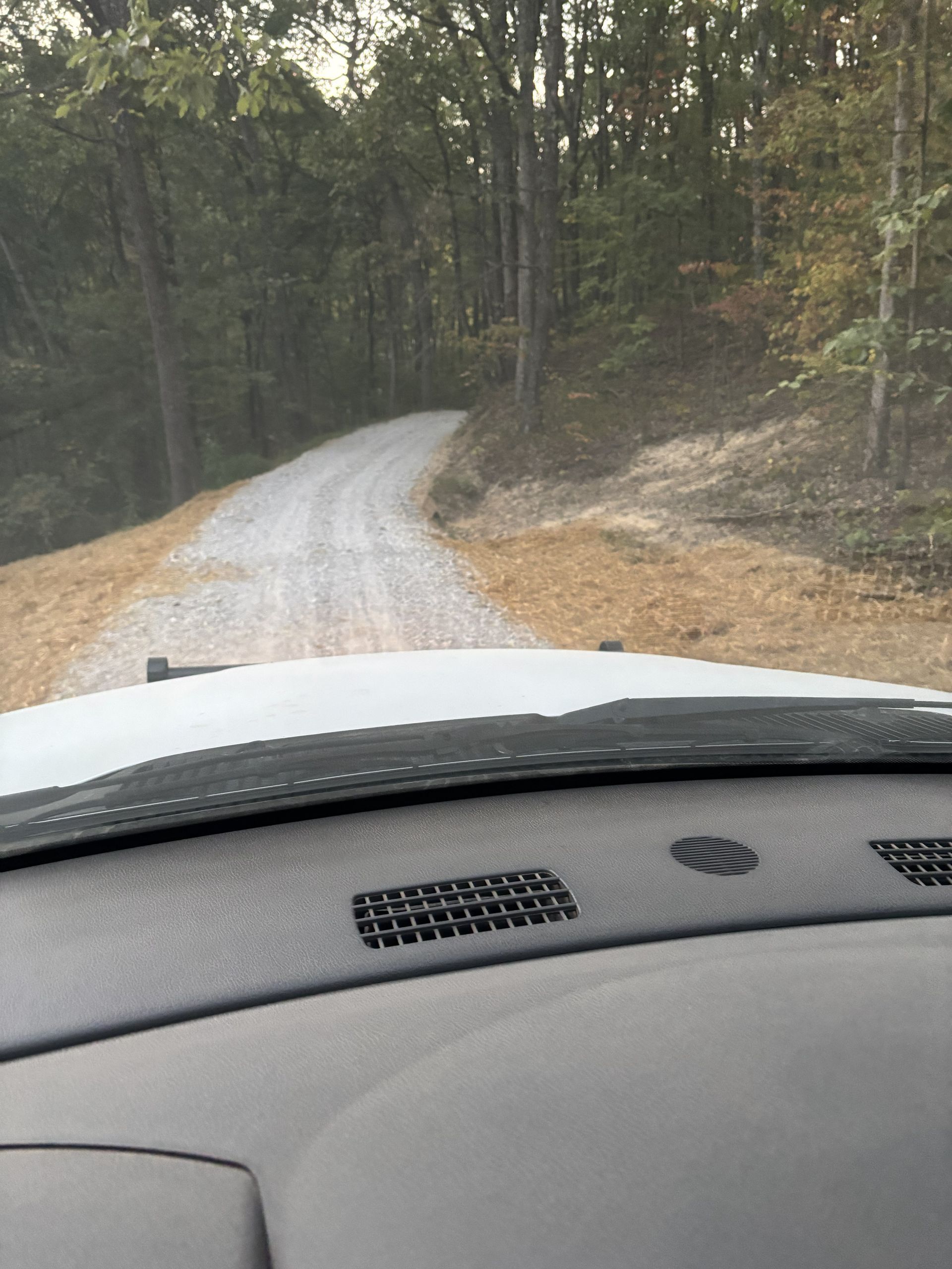 View from a car on a narrow gravel road curving through a wooded area