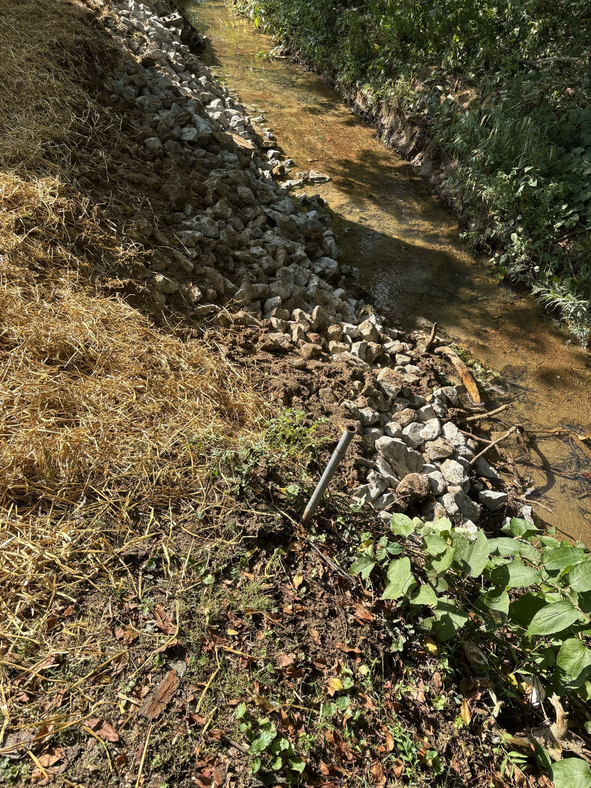 Rocky dirt trail beside a dry creek bed with green plants and sunlight