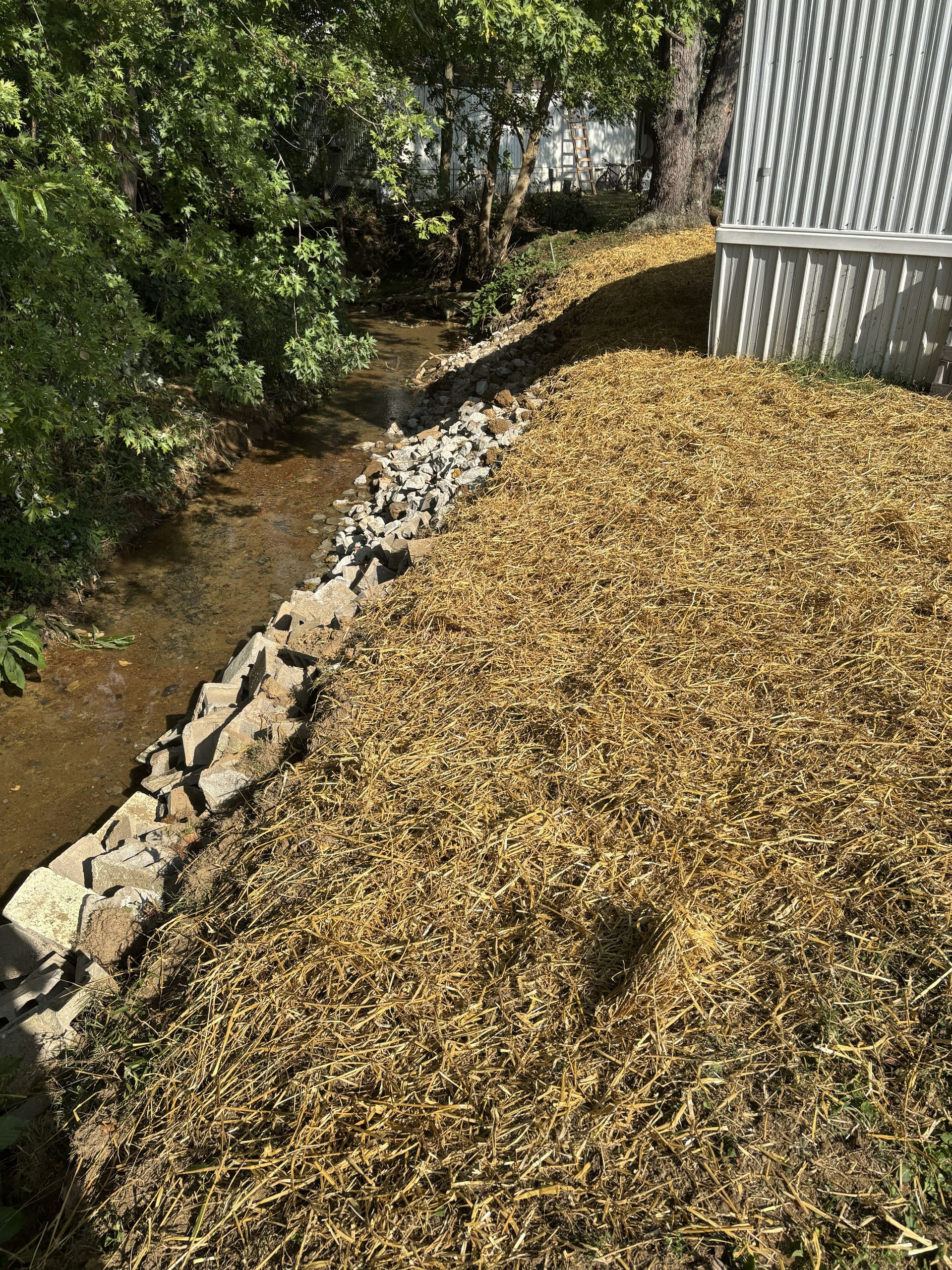 Narrow creek beside a gravel bank and white building, with trees and dry leaves along the waterline