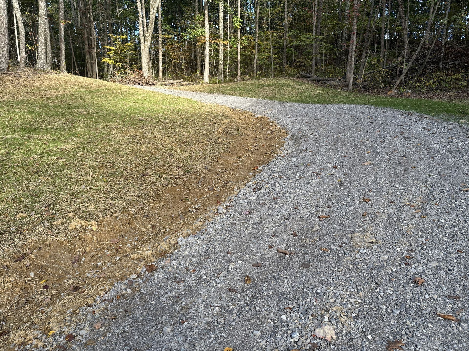 Gravel path curving through a wooded area beside a grassy slope.
