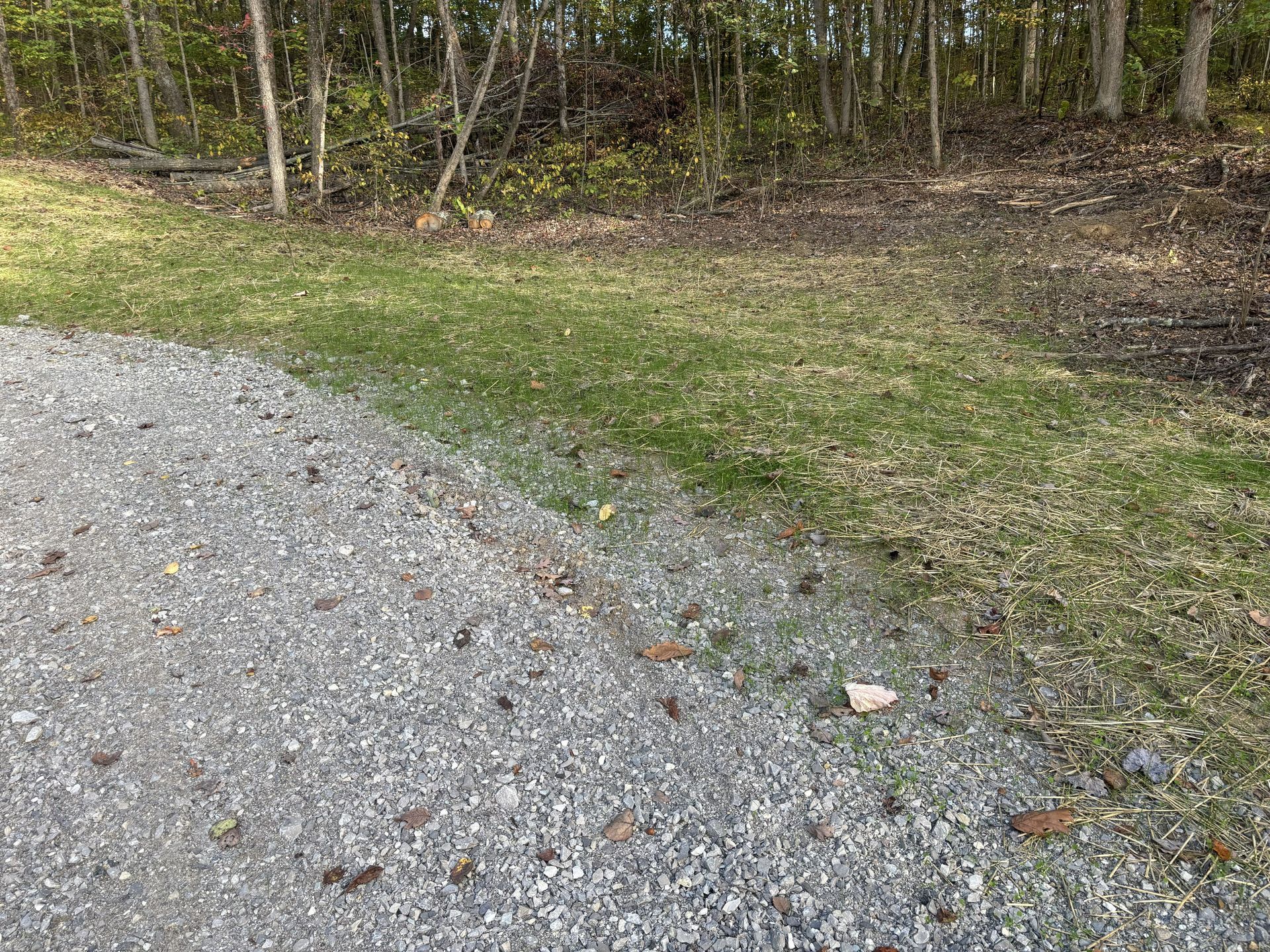 Gravel driveway beside a grassy edge and wooded area with trees in the background