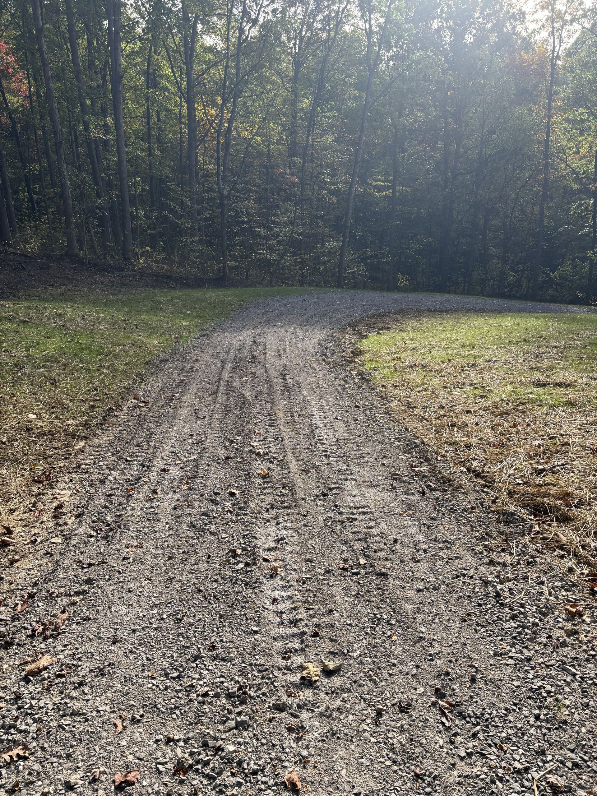 Gravel path curving through a wooded area with sunlight filtering through the trees