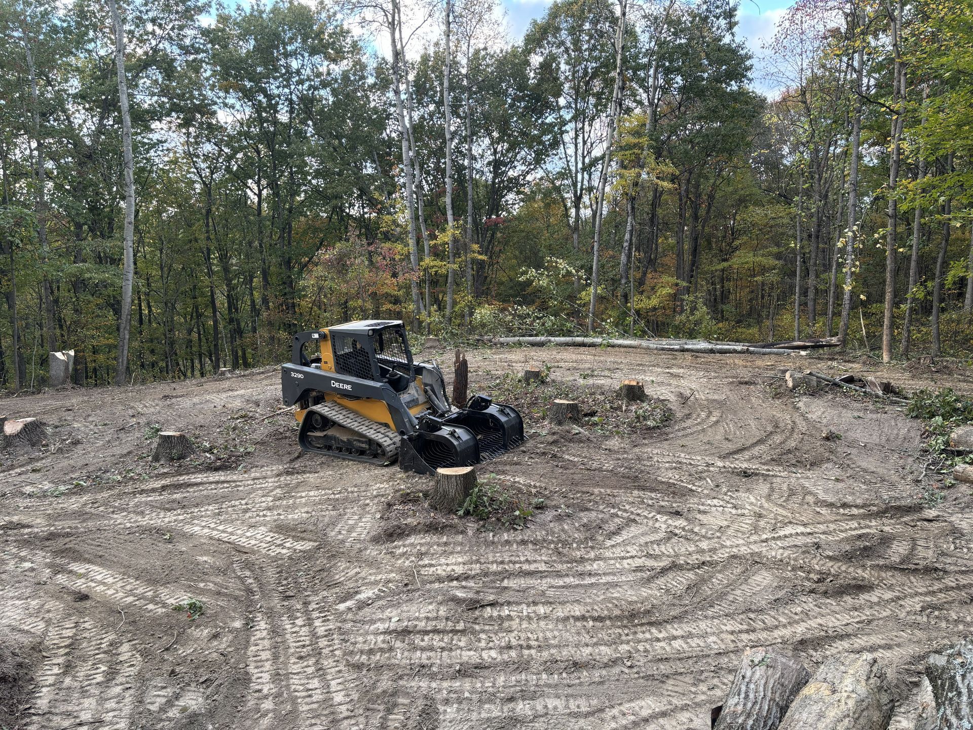 Black-and-yellow skid steer clearing a dirt lot beside trees in a wooded area