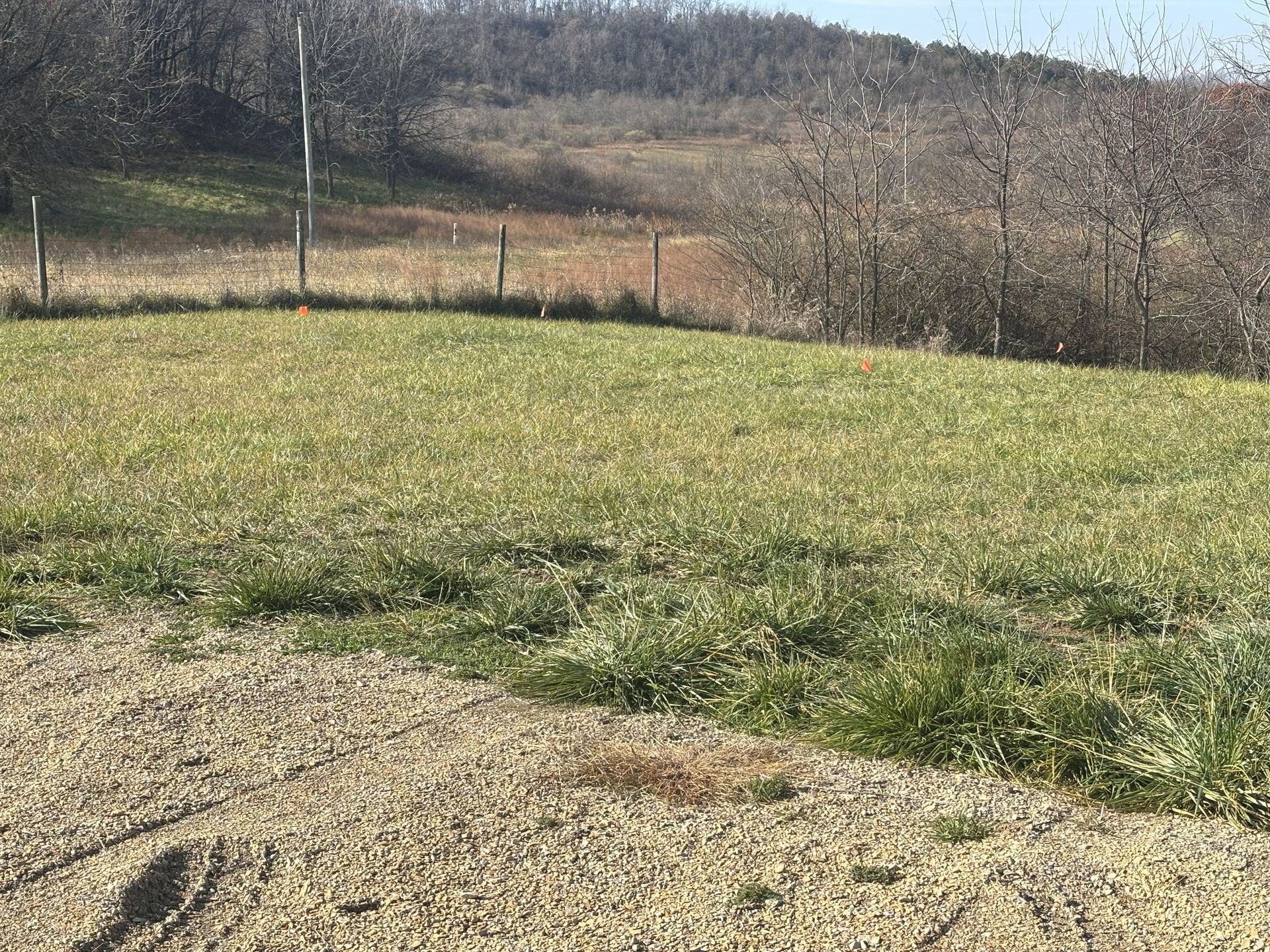 Grassy field with a dirt foreground, fence, and leafless trees on a hillside under a clear sky.