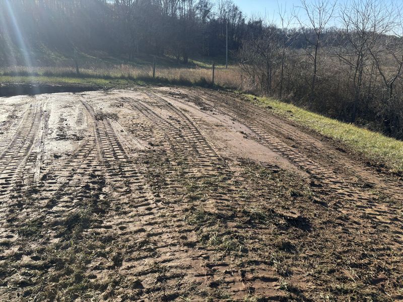 Dirt road with tire tracks beside a grassy field under bright sunlight and bare trees