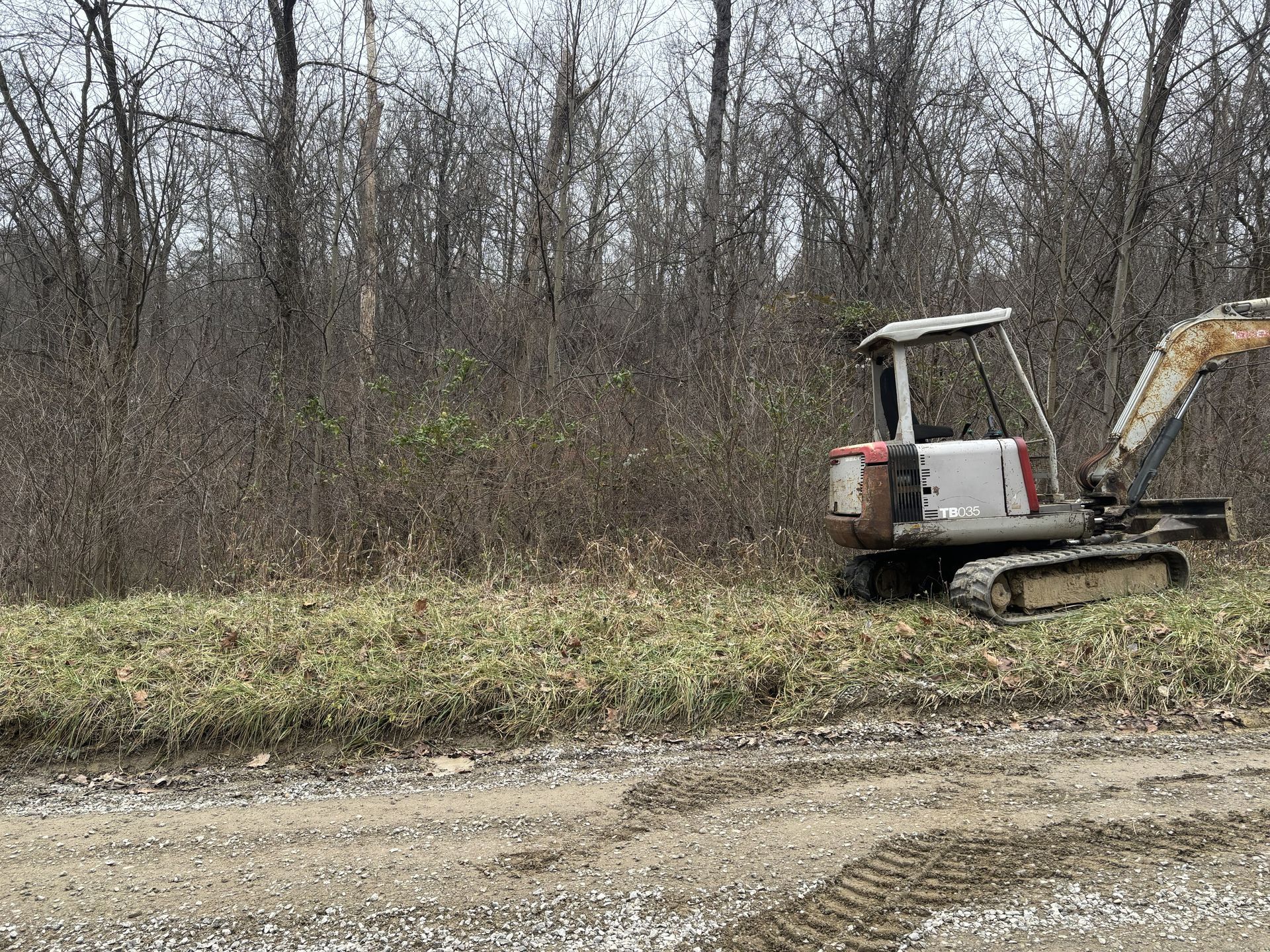 Small excavator parked by a muddy roadside beside leafless trees and brush.