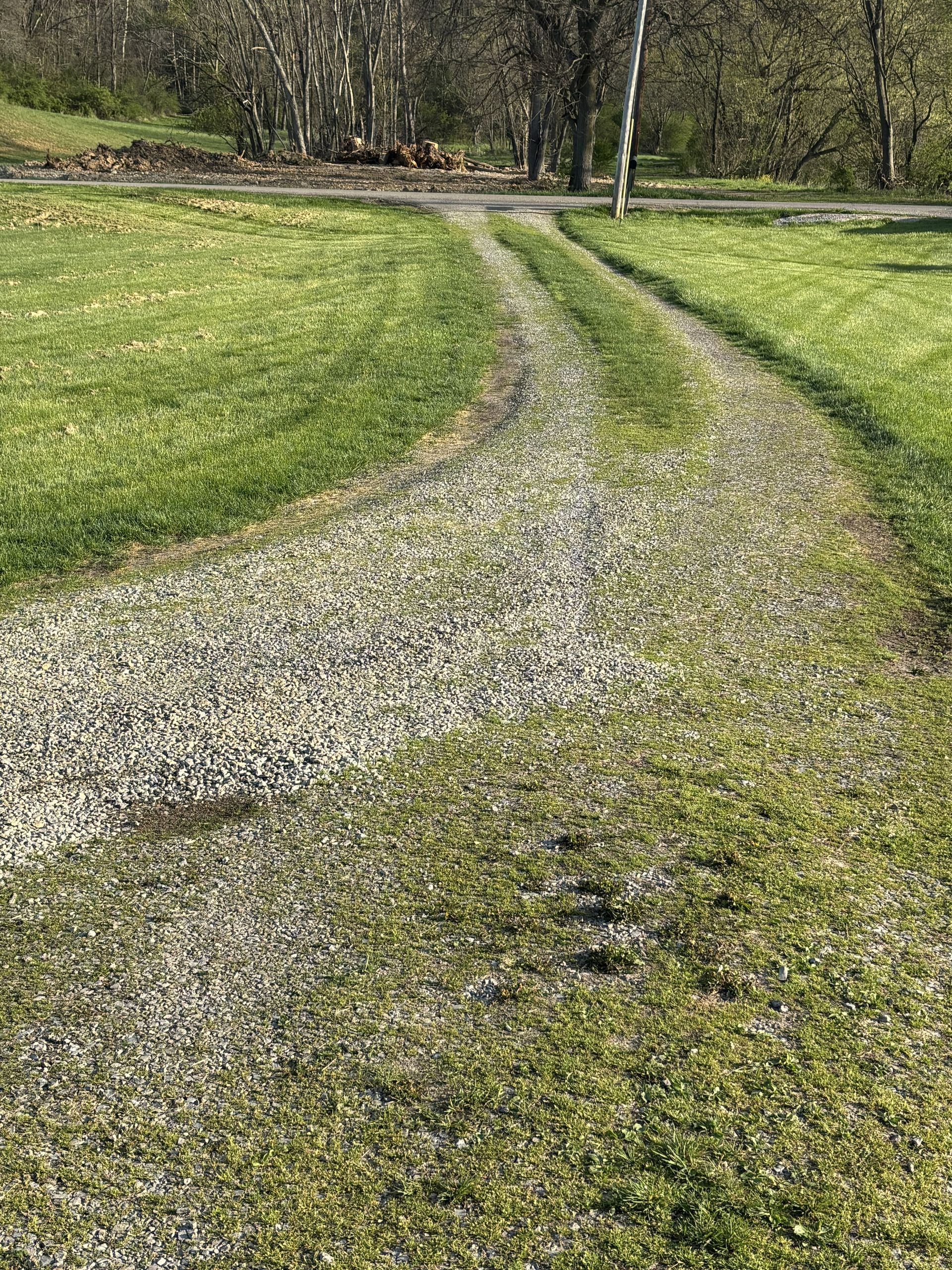Gravel path winding through a green field toward trees on a sunny day