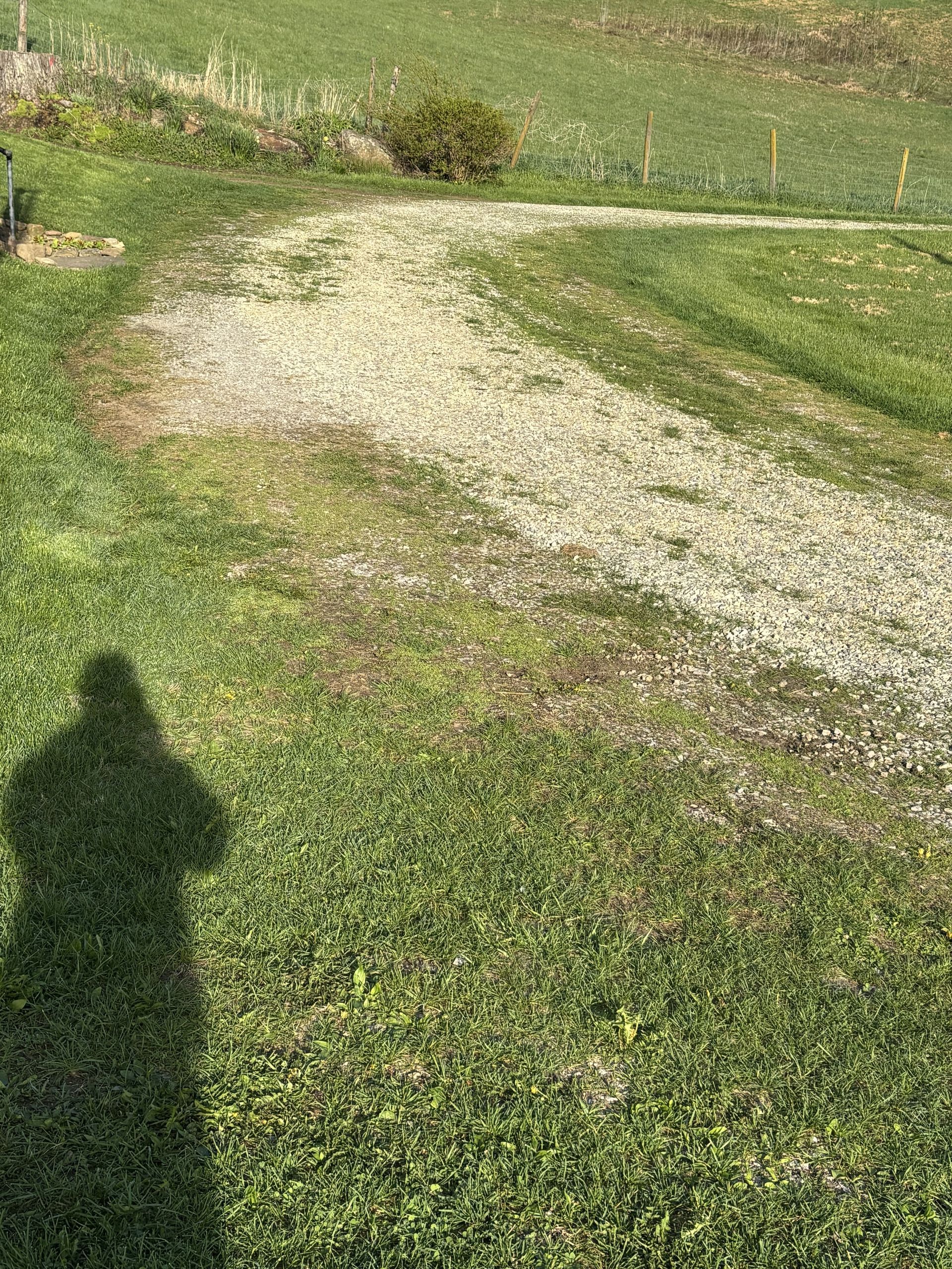 Grassy hillside with a pale gravel path curving through it and a person's shadow in the foreground