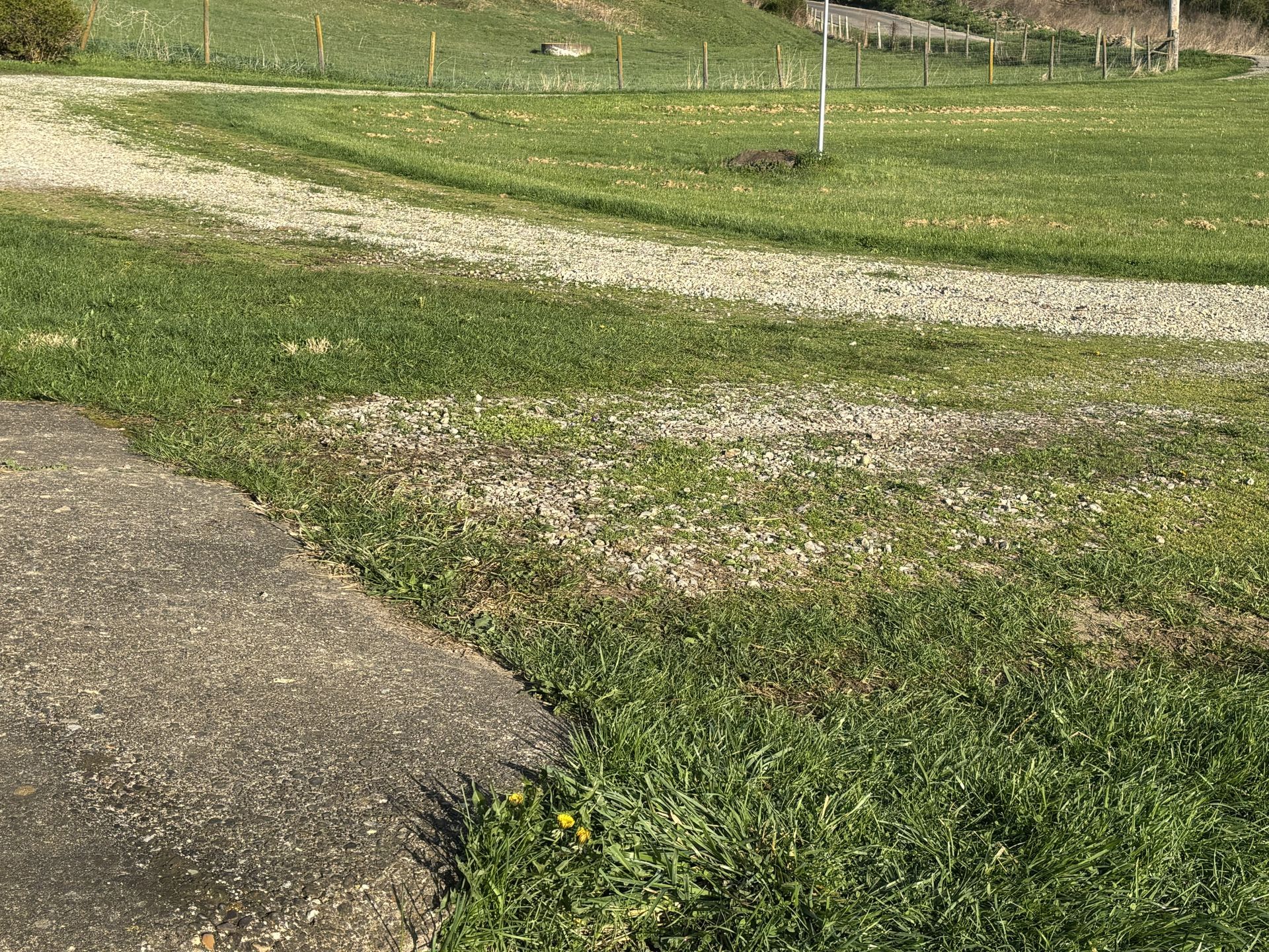 Grassy field with a gravel path and a paved edge in the foreground