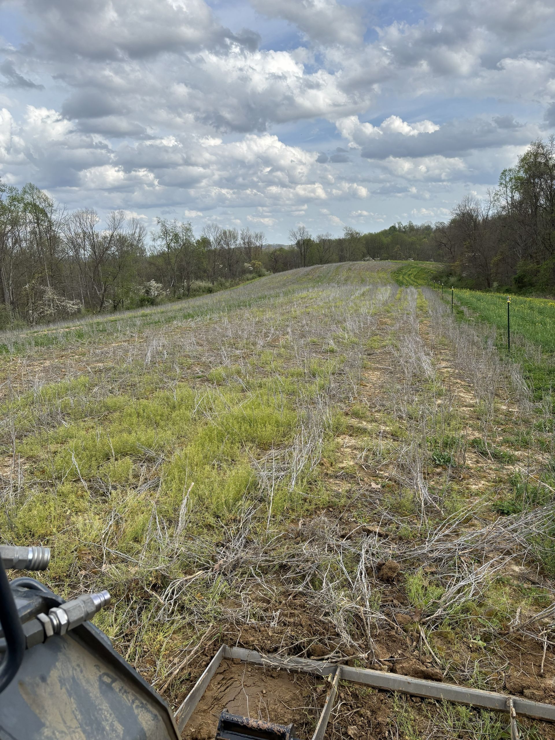Gravel path through a cloudy field, with vegetation on both sides and part of an off-road vehicle in the foreground