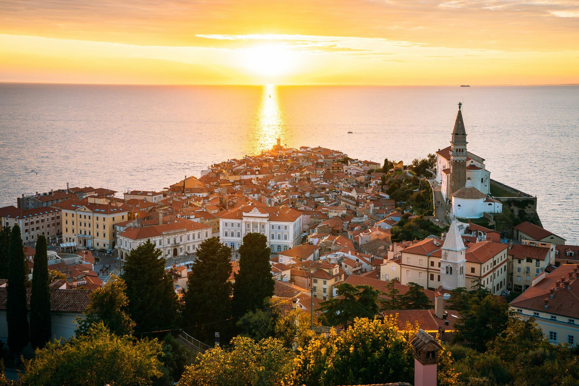 Photo by Leonhard Niederwimmer via Unsplash 
