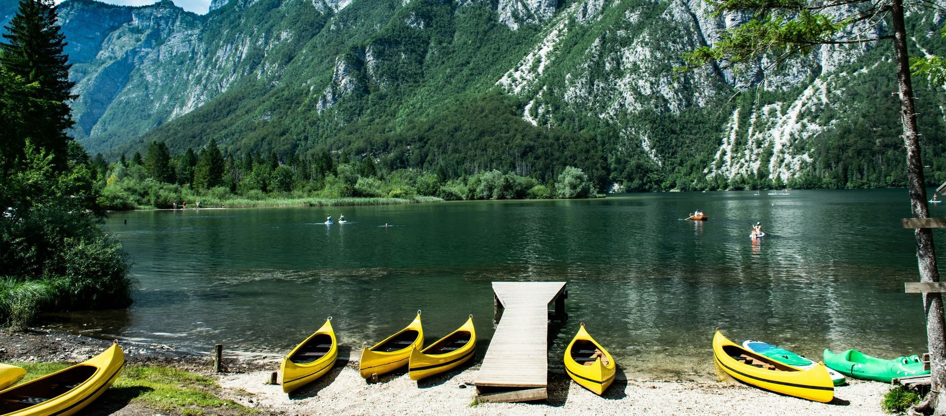 Photo by Lea Kobal via Unsplash 