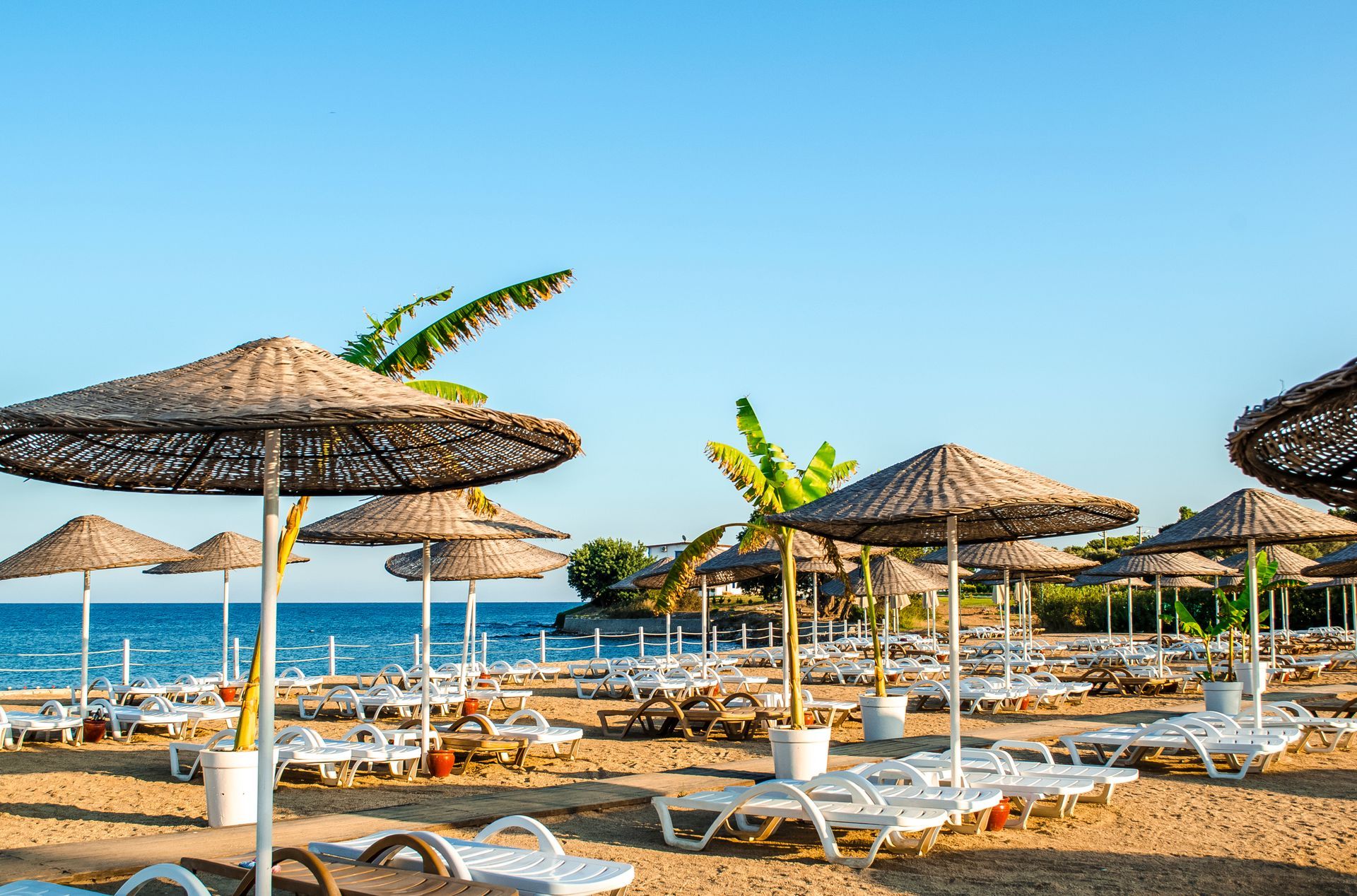 Beach with straw umbrellas, lounge chairs, and blue sea under a clear sky.