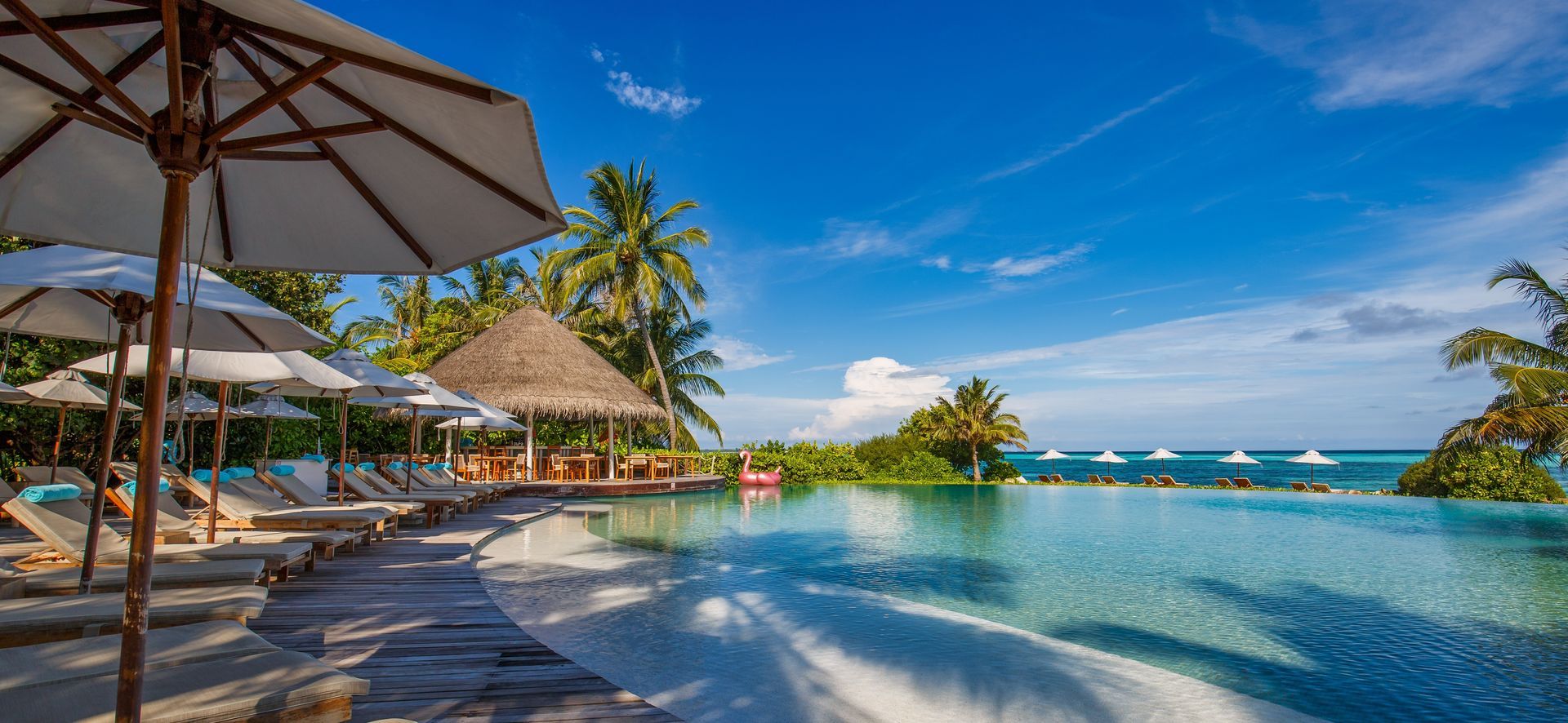 Tropical resort infinity pool beside white beach umbrellas, palm trees, and a bright blue ocean
