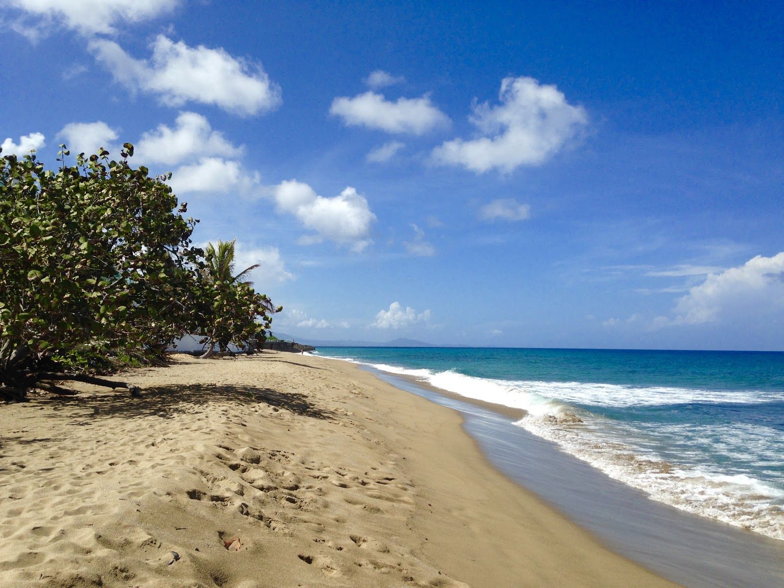 Sandy beach with turquoise ocean under a blue sky with fluffy clouds and green trees.