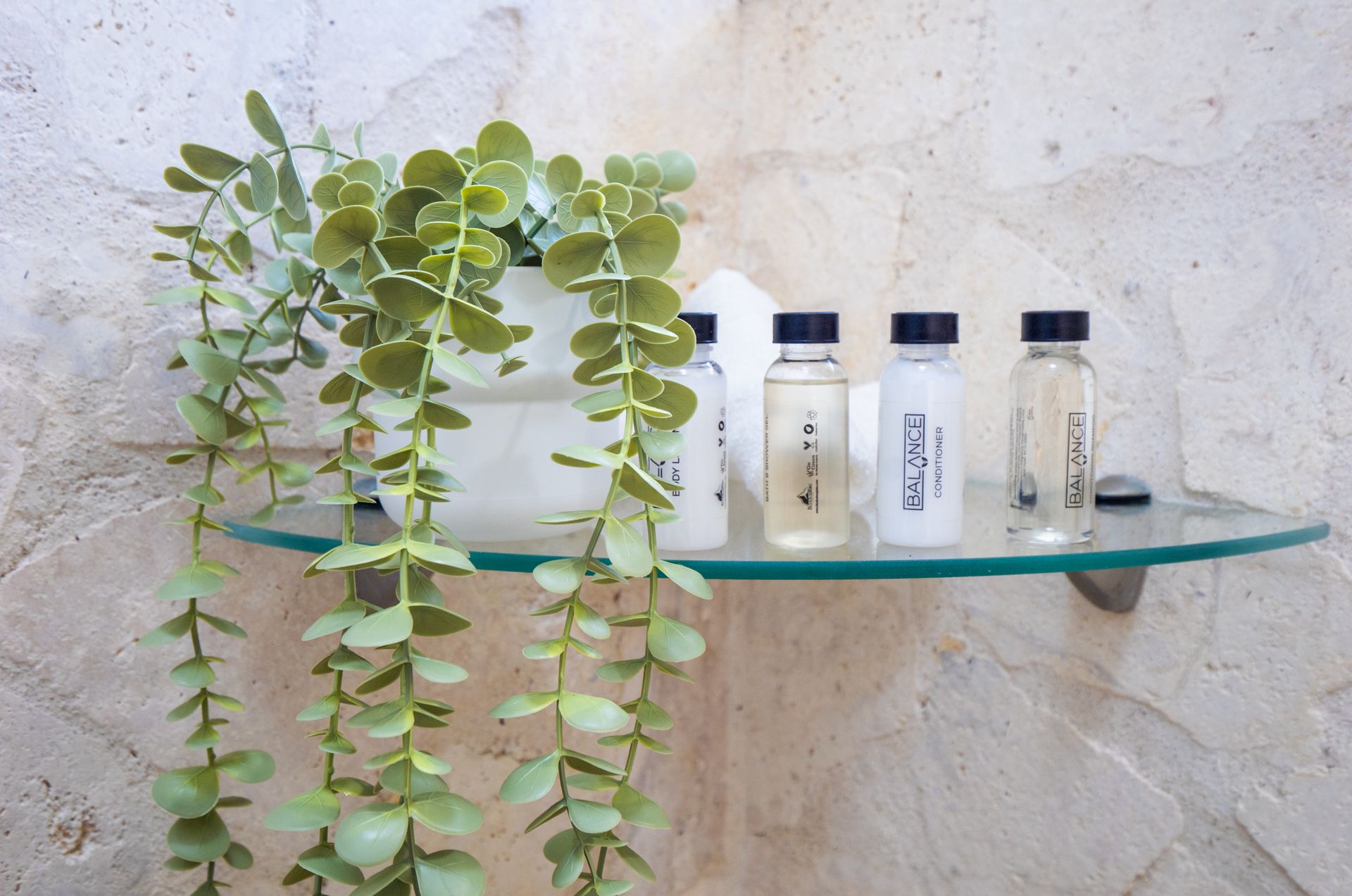 Glass shelf with toiletries and hanging leafy plant against a stone wall.