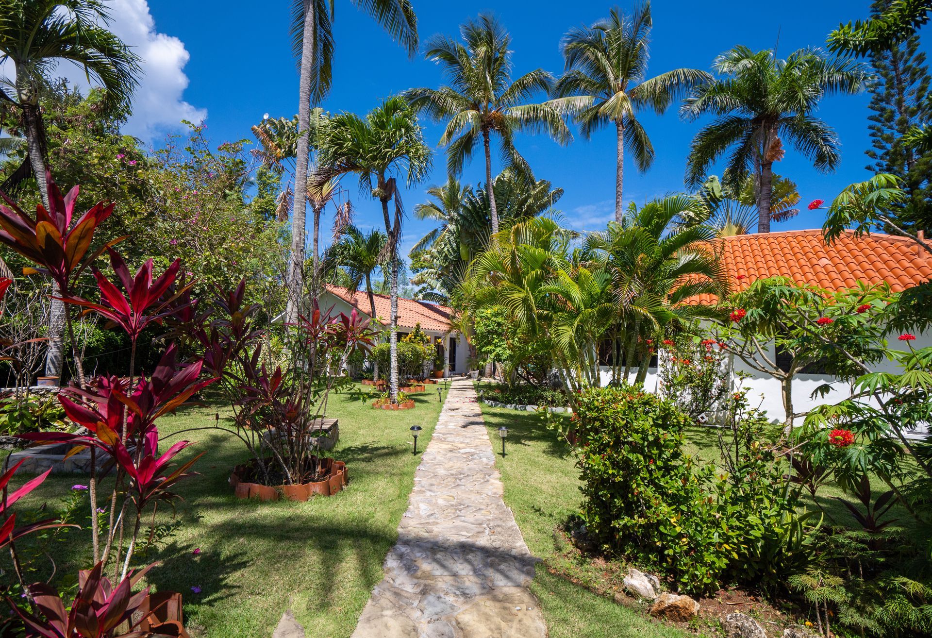 Stone path leads through lush tropical garden to white buildings with orange tile roofs.