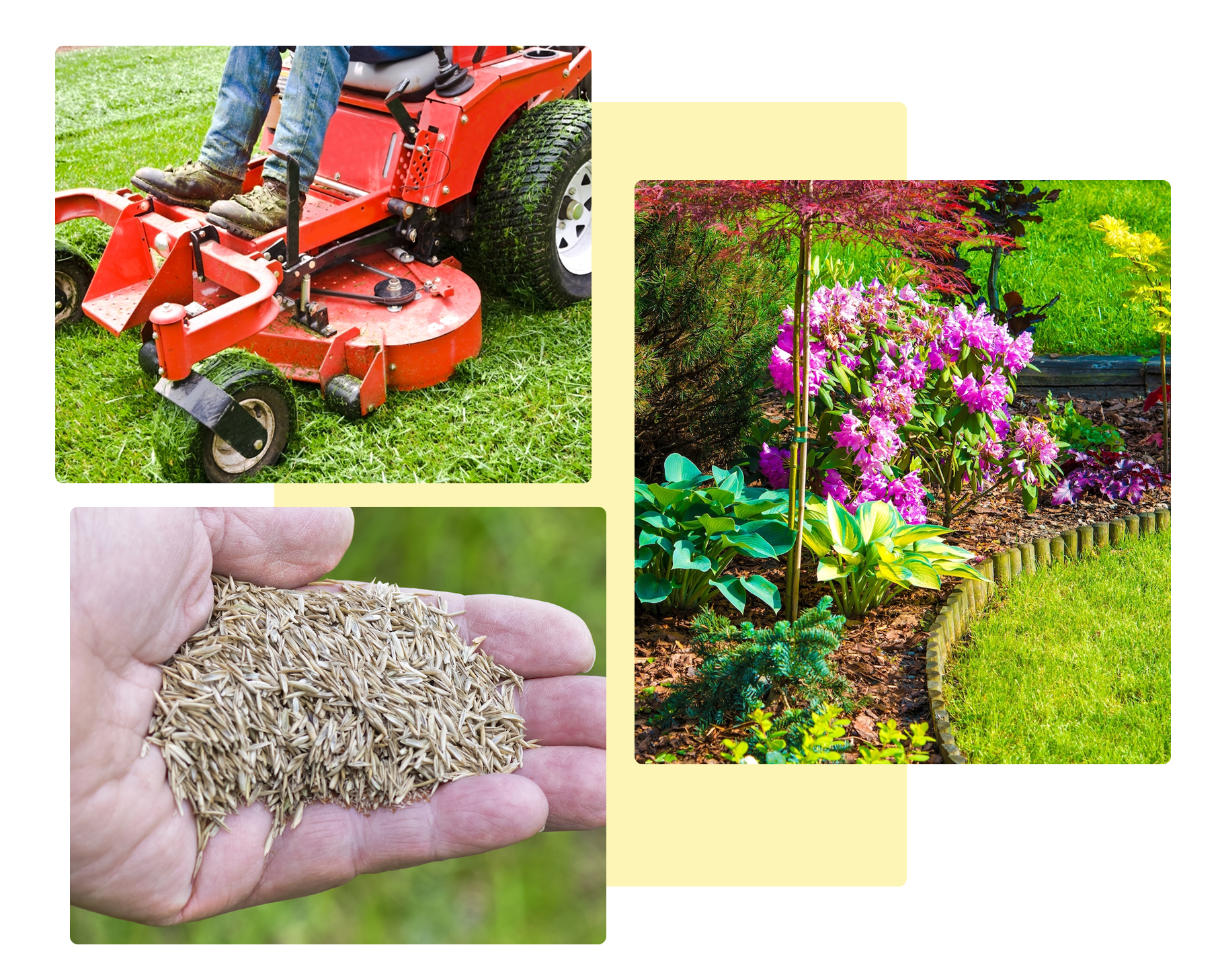 A person is riding a lawn mower and holding a pile of grass seeds in their hand.
