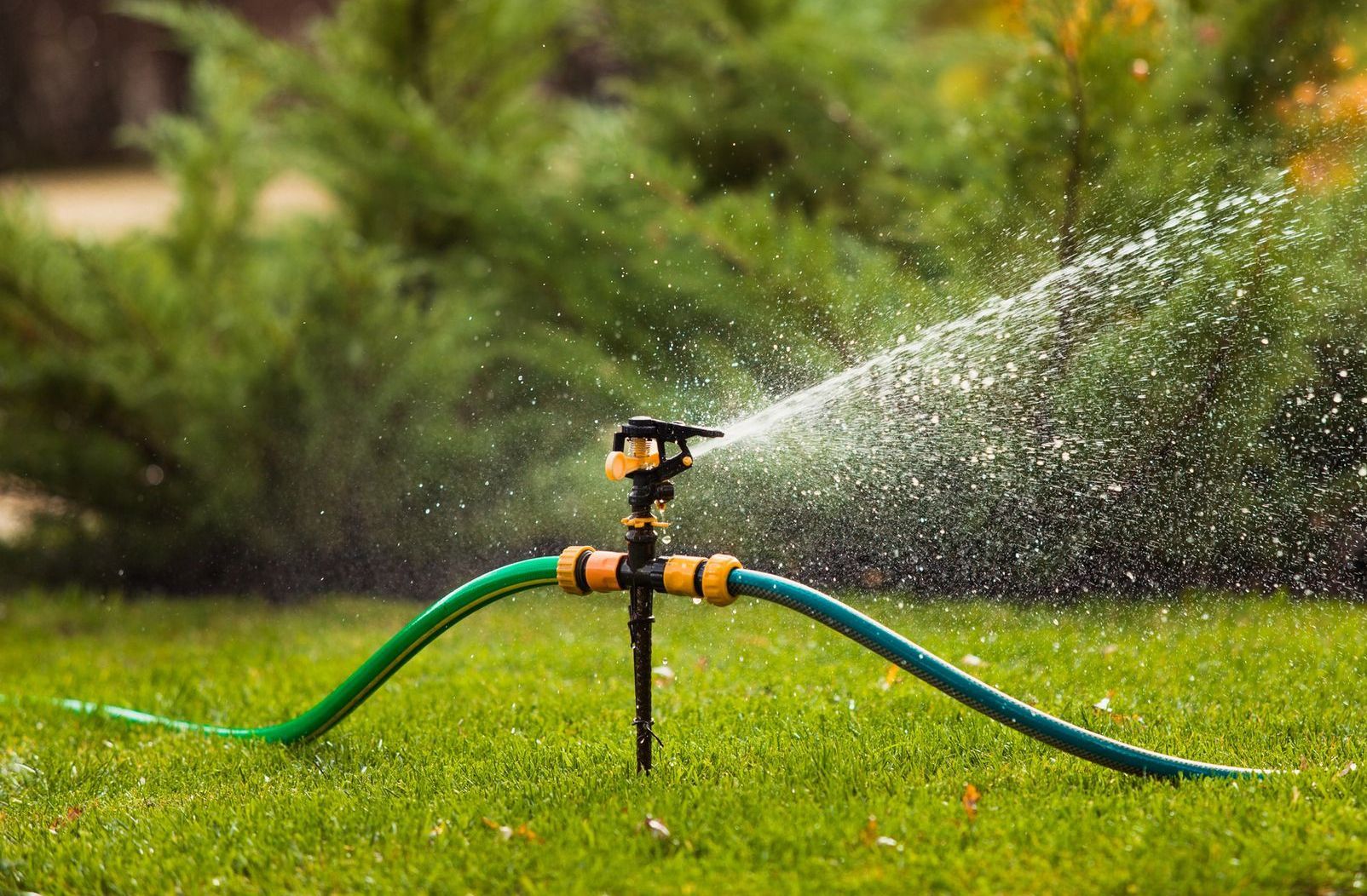 Above Ground Irrigation Service