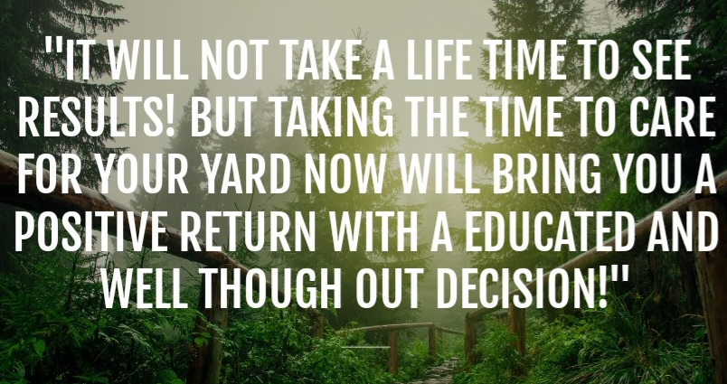 A quote that says 