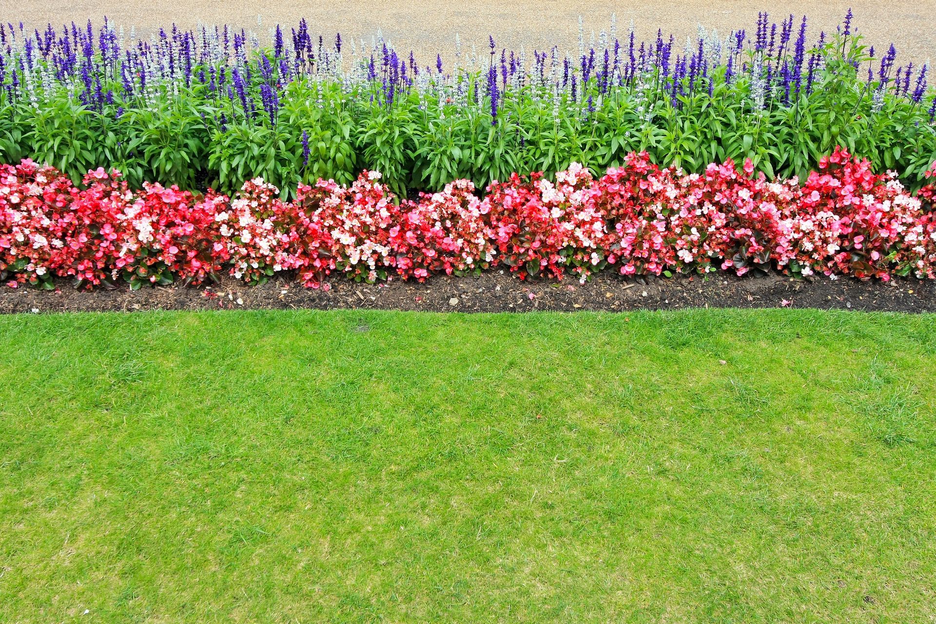 Landscape Maintenance 