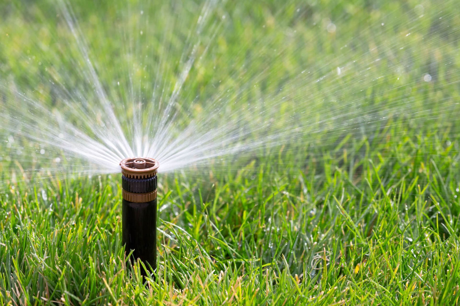 Commercial Fertilization & Weed Control