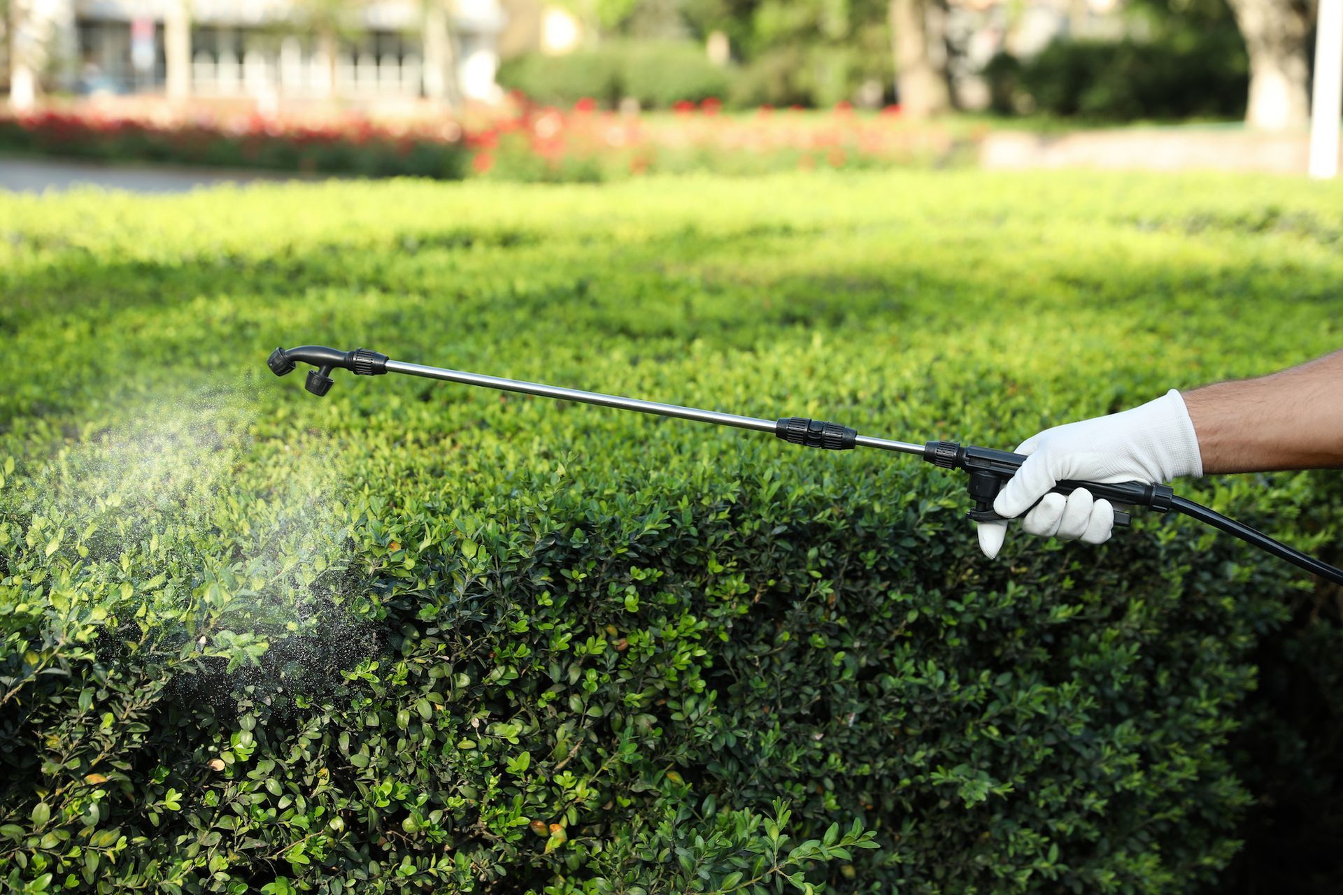 Mosquito Control