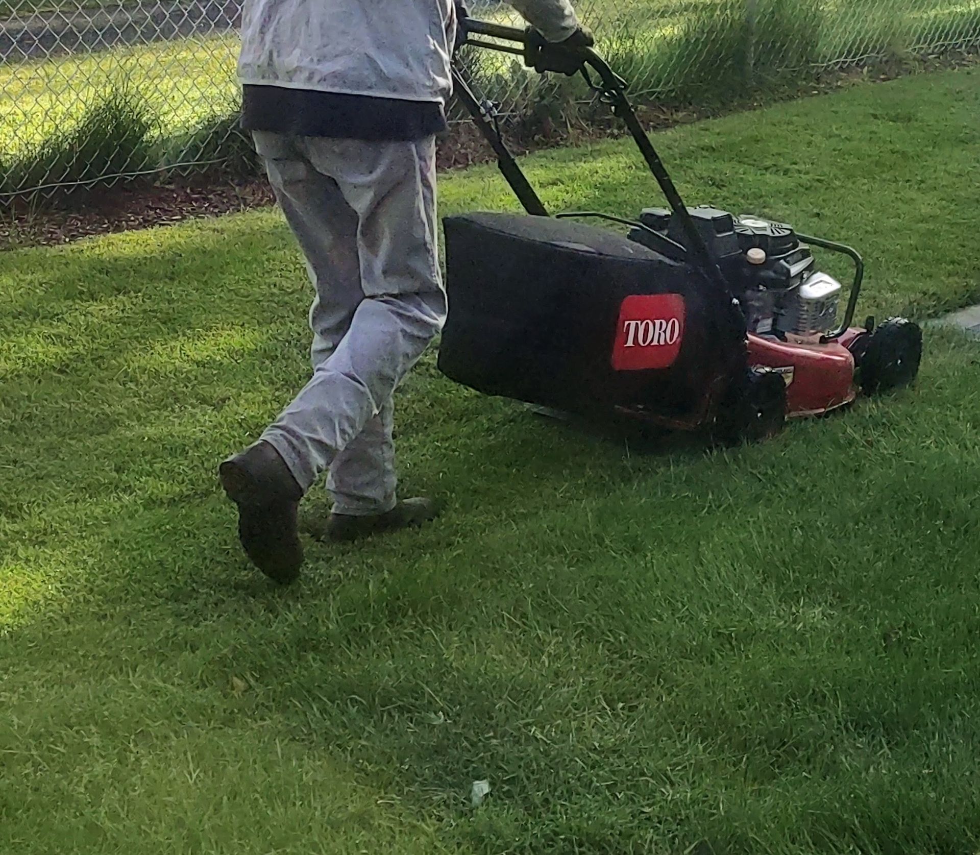 Person mowing a grassy lawn with a push mower near a driveway.