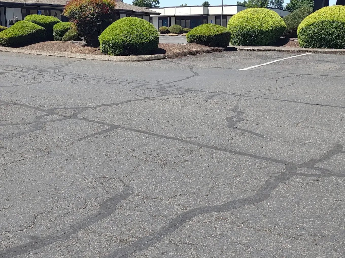 Empty asphalt parking lot with cracked pavement and trimmed shrubs along the edge
