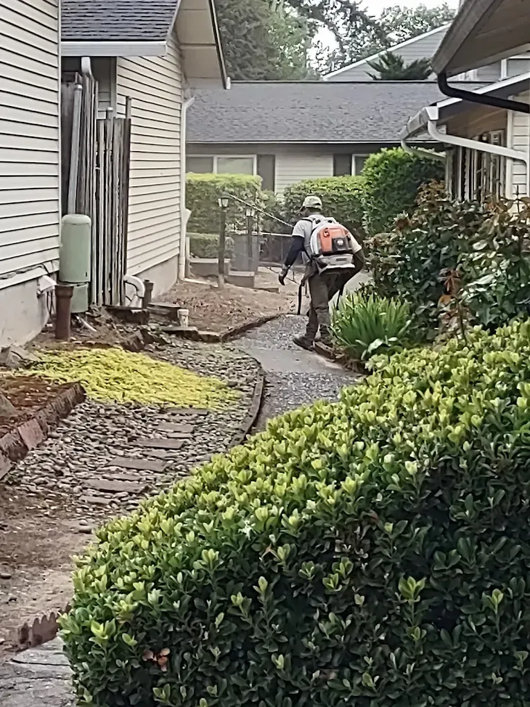 Worker using a leaf blower along a narrow garden path beside a house and shrubs