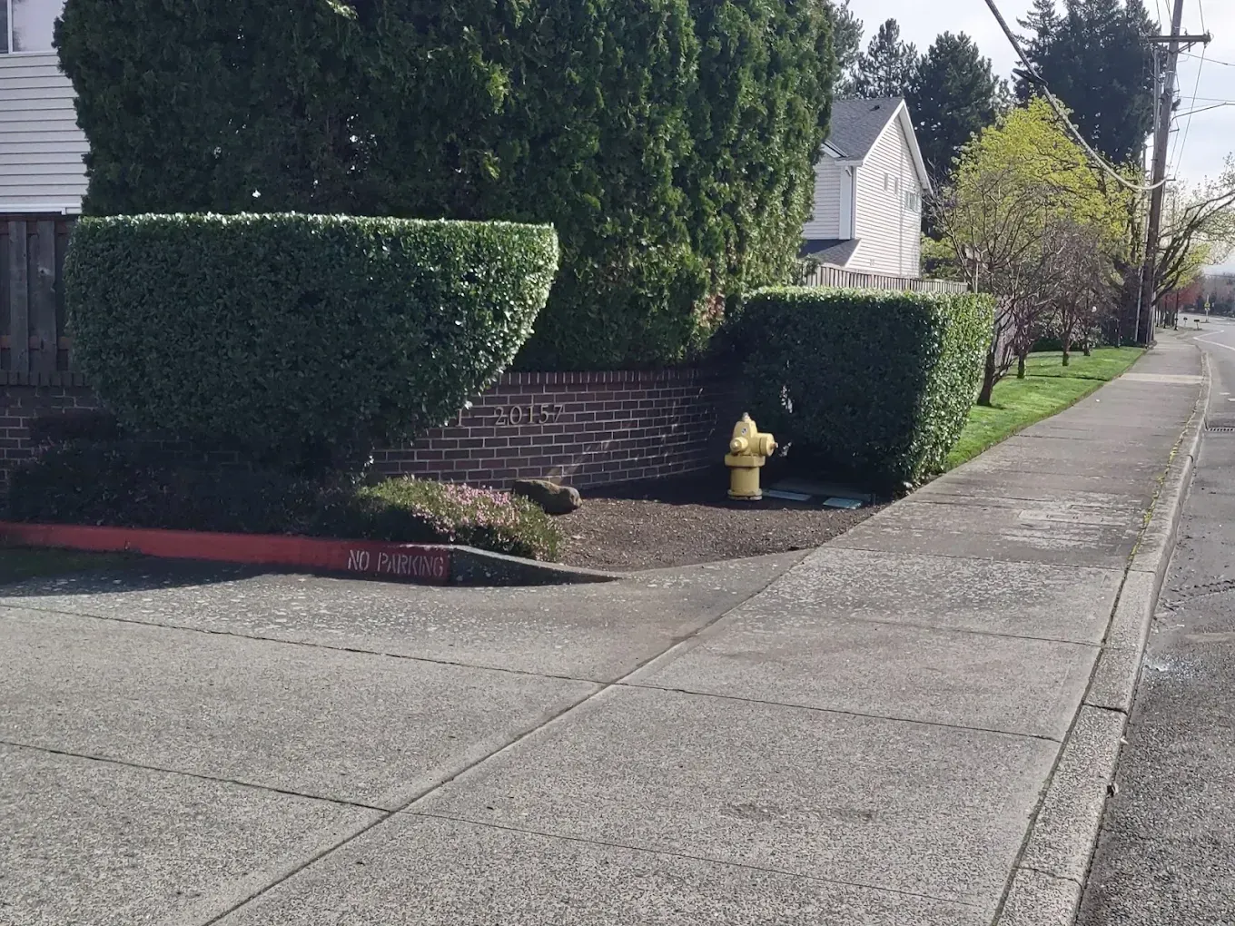 Quiet suburban sidewalk beside neatly trimmed hedges and a stone wall on a sunny day