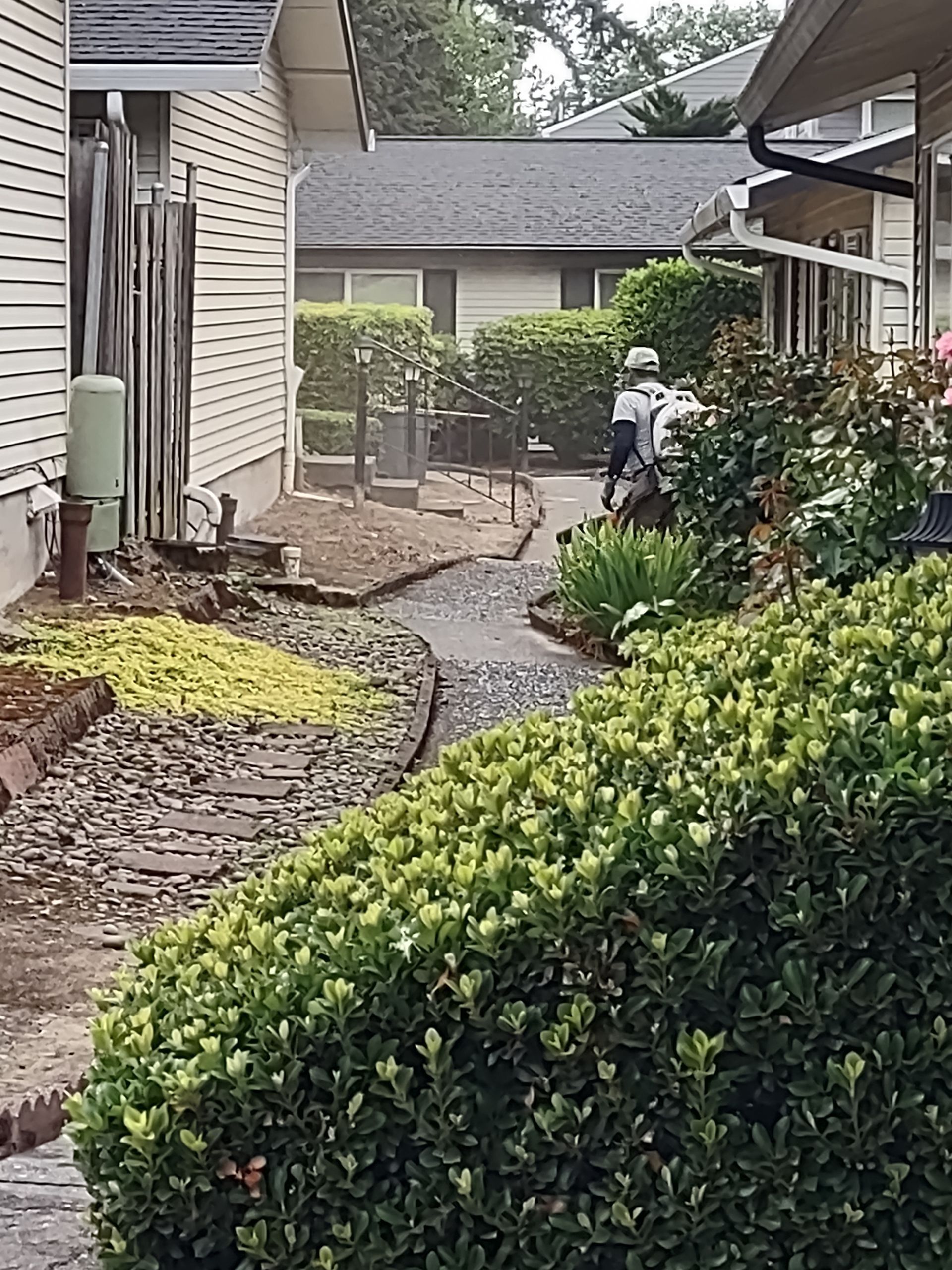 Garden path between houses with shrubs and a person in a hat near a patio area
