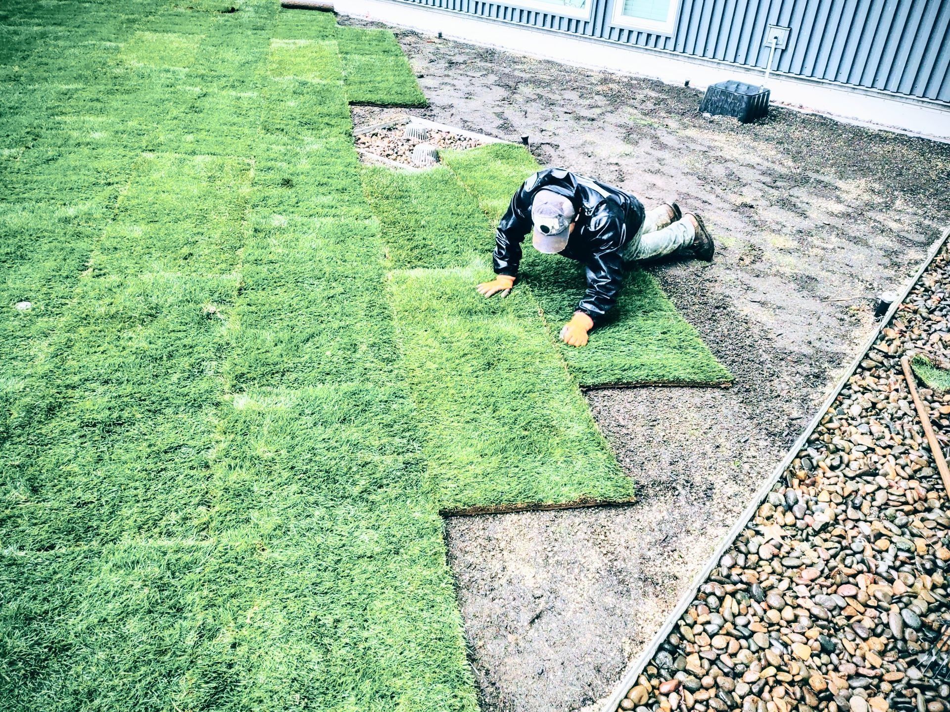 Person kneeling on artificial grass, laying turf beside a dirt patch in a yard