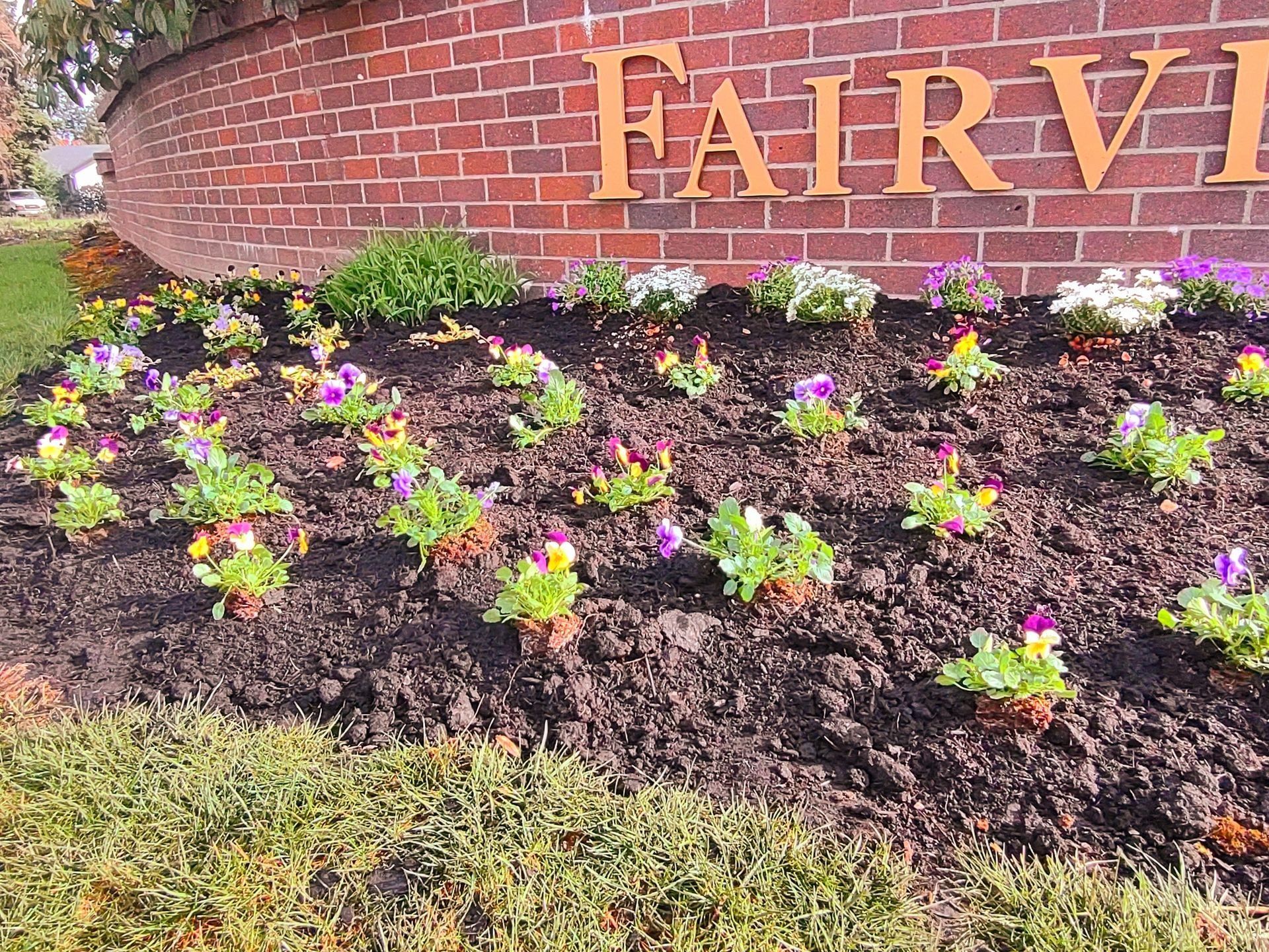 Fairview brick sign behind colorful flowers and mulch bed