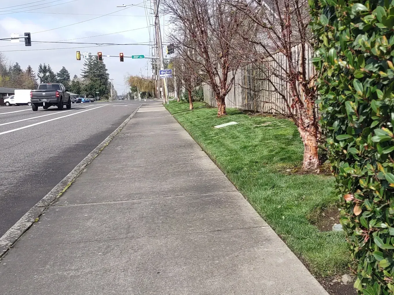 Sidewalk beside a road with a grassy strip, trees, and traffic lights ahead on an overcast day