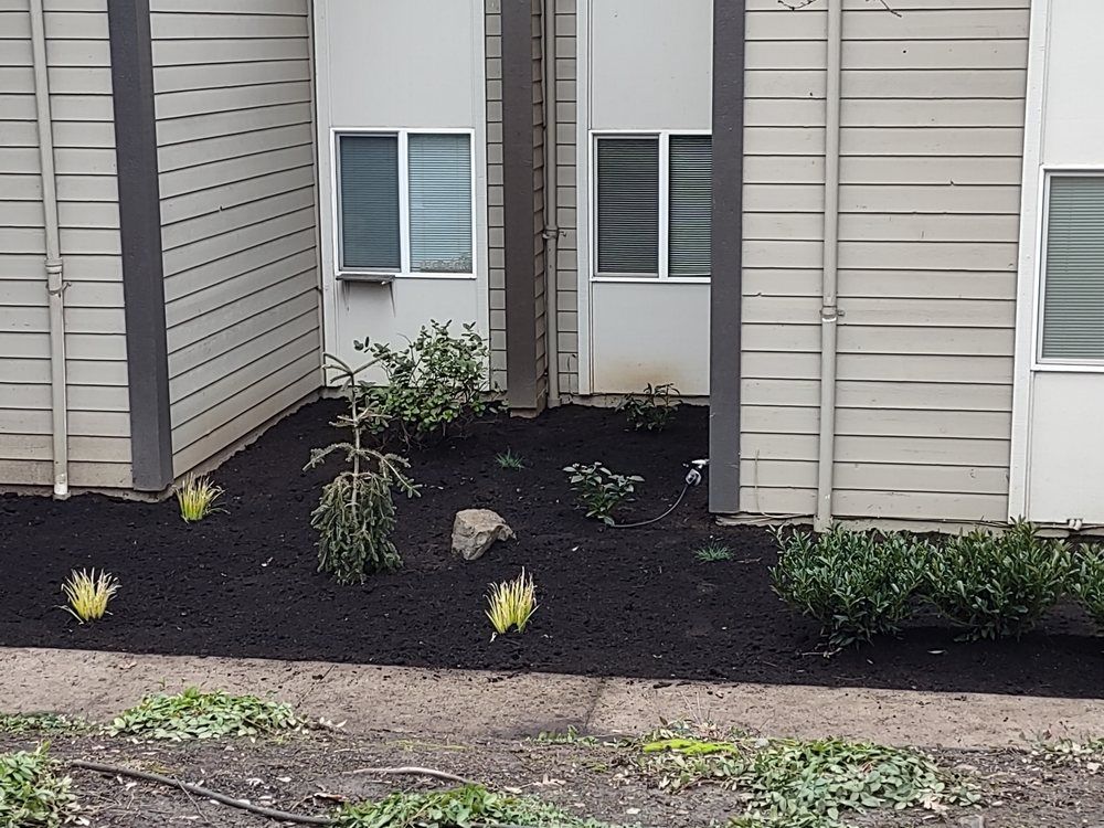 Apartment building exterior with small mulched garden beds and young shrubs between beige siding walls