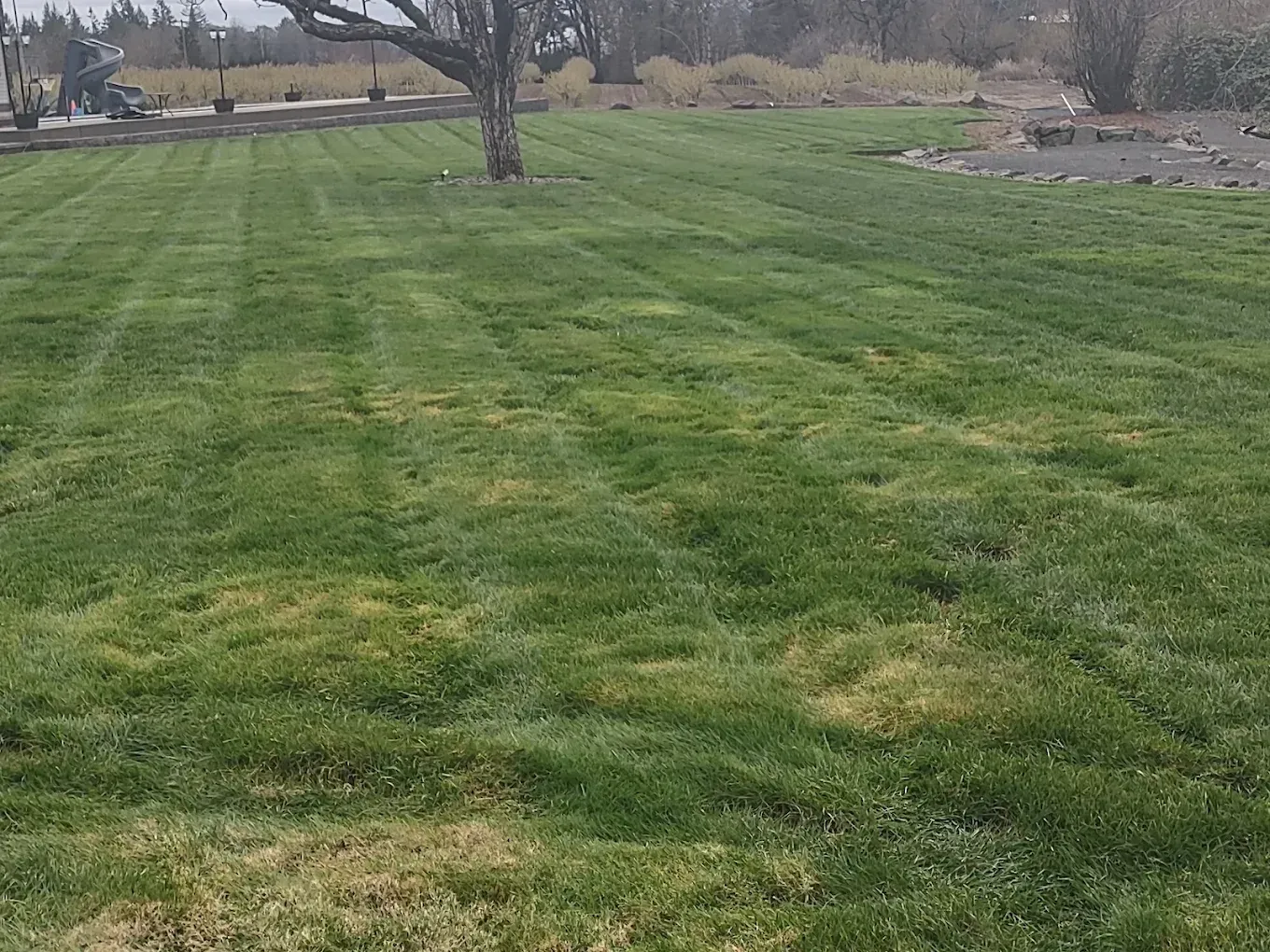 Grassy park field with trees and a dirt path under an overcast sky