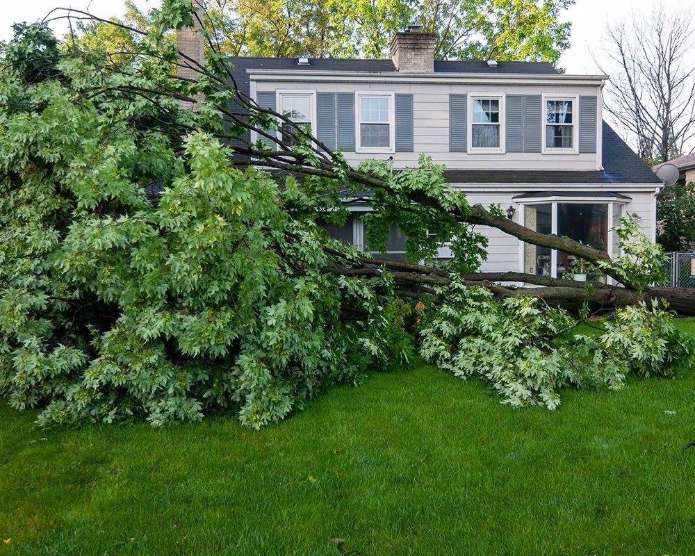 Two-story gray house with a large fallen tree blocking the front yard and porch