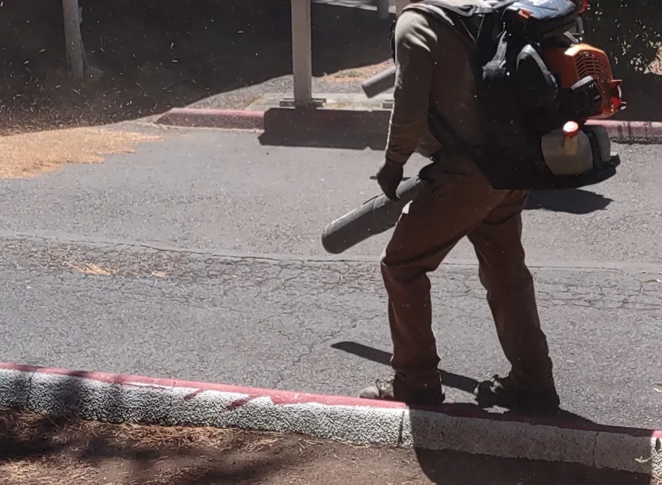 Worker with backpack leaf blower clearing debris along a curb in bright sunlight