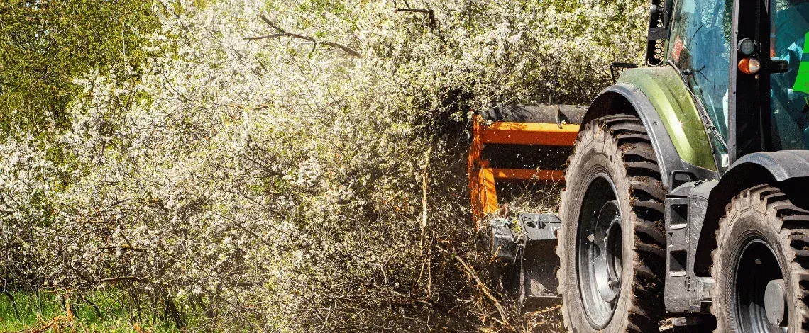 brush hogging vs regular mowing