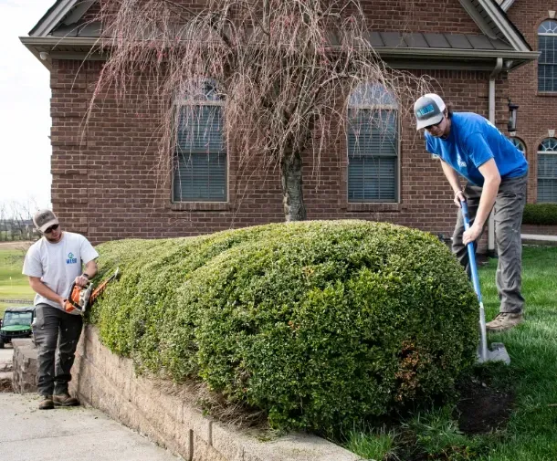 long lasting outdoor benefits service in nicholasville ky