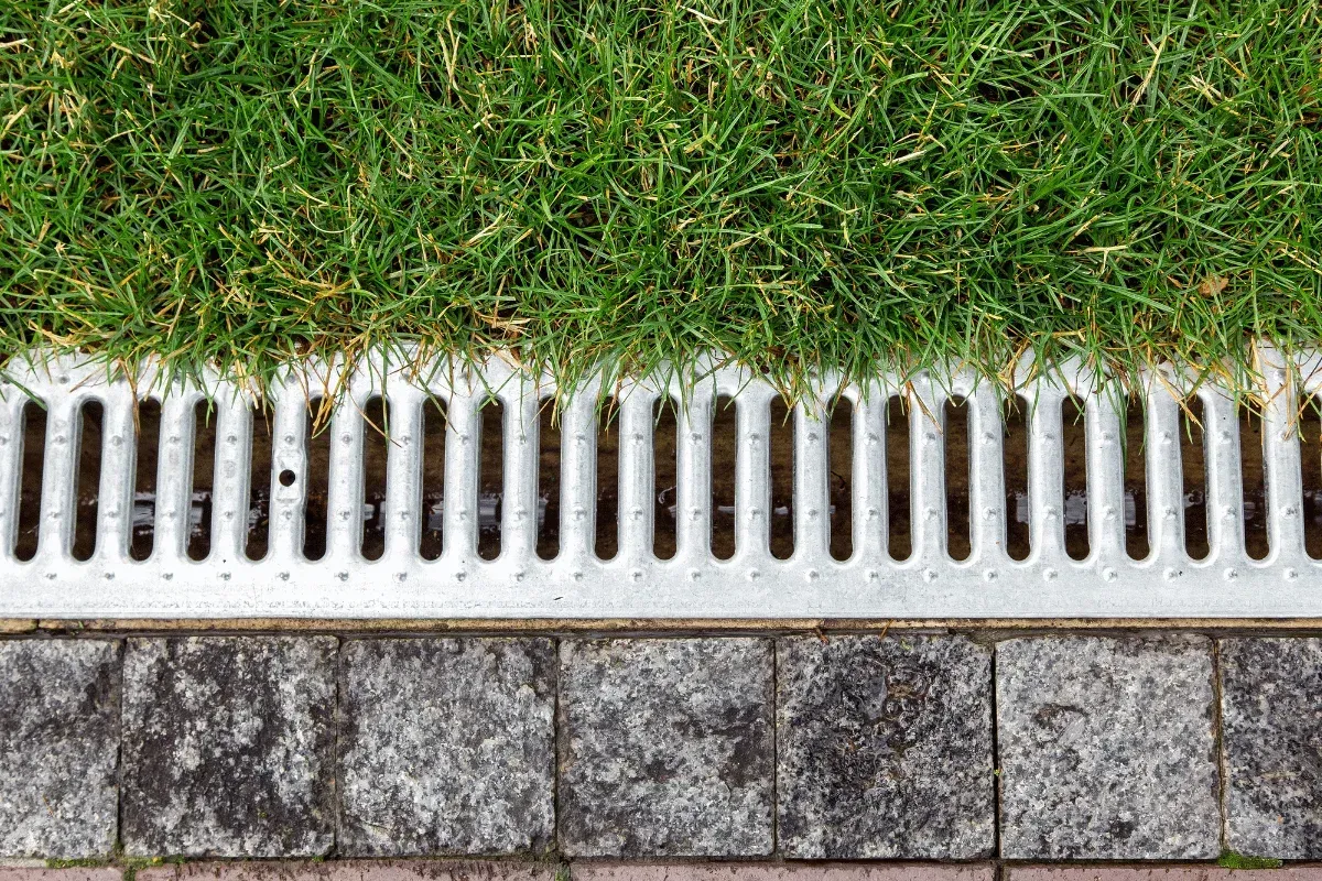 Why Is My Yard Always Wet? Common Drainage Problems in Central Kentucky (And How to Fix Them)