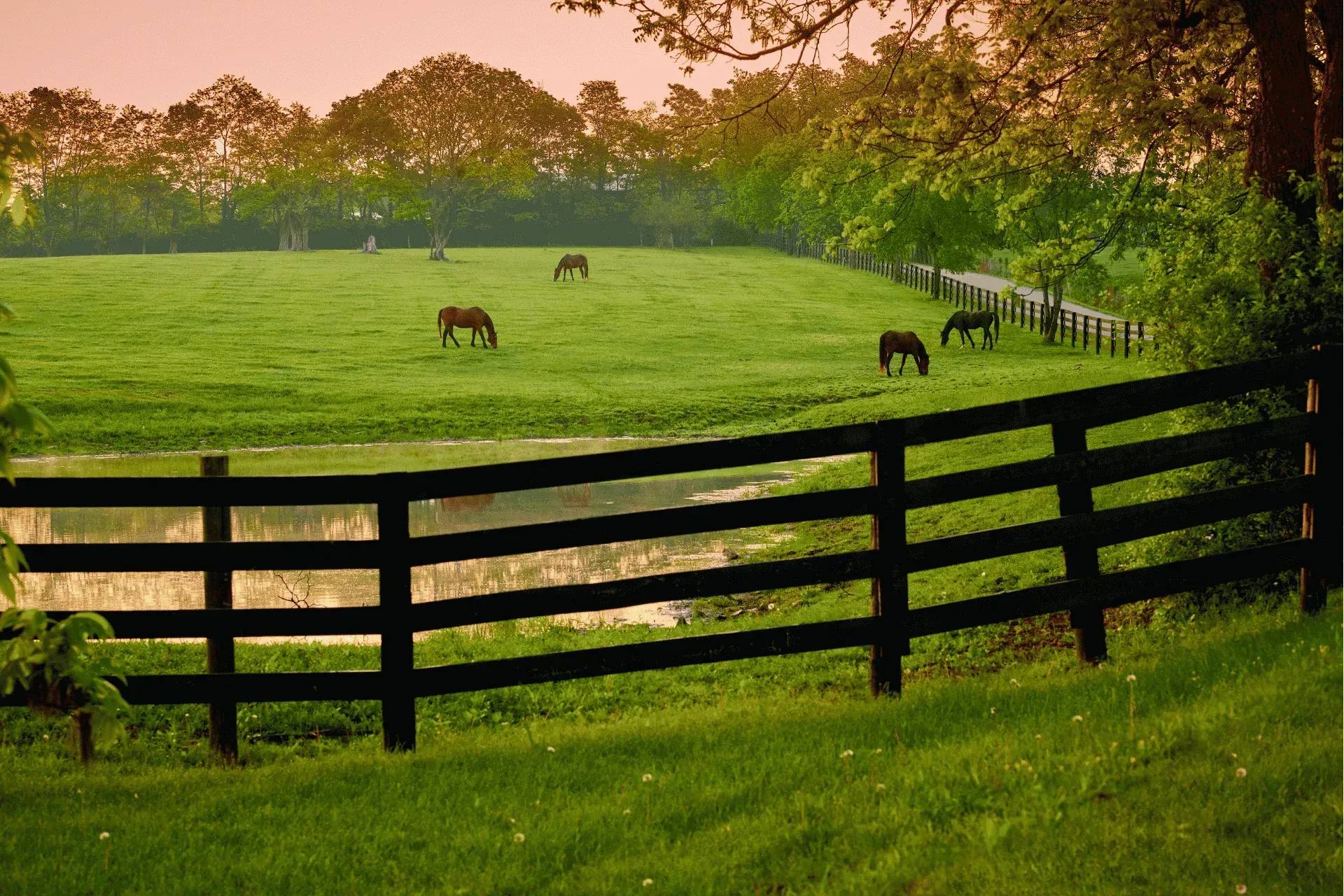 horse farm lawn care in lexington ky