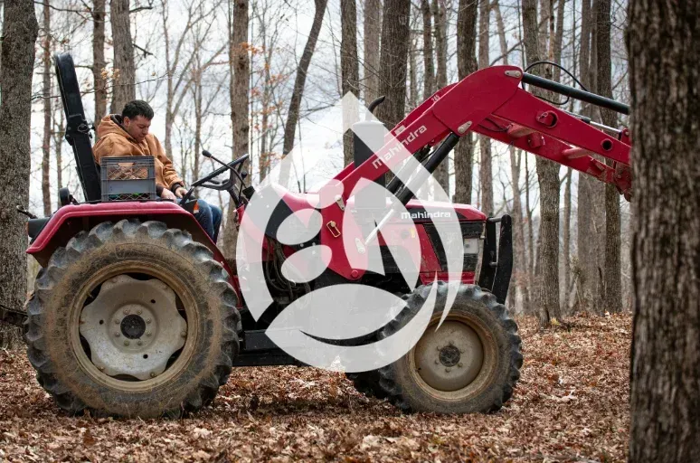 land clearing services richmond ky
