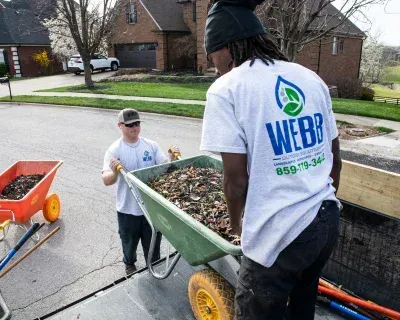 landscape clean up approach in richmond ky